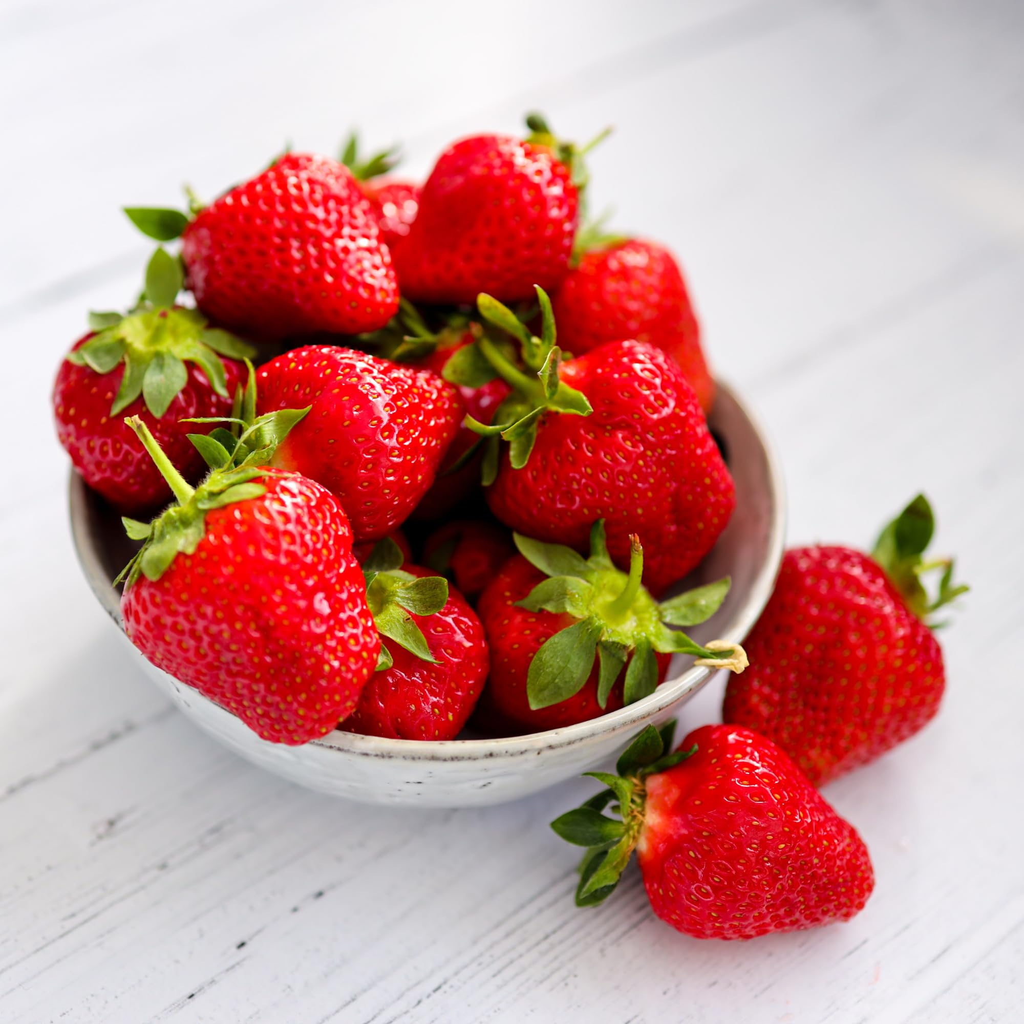 Eversweet Everbearer Strawberry Plants - Bare Root Strawberry Plants (50 Pack) | Produces Sweet Fruits from Spring to Fall | Heat Tolerant Over 90°F | Perfect for Home Gardens, Containers & Fresh Eating | Hand-Picked Nursery Quality