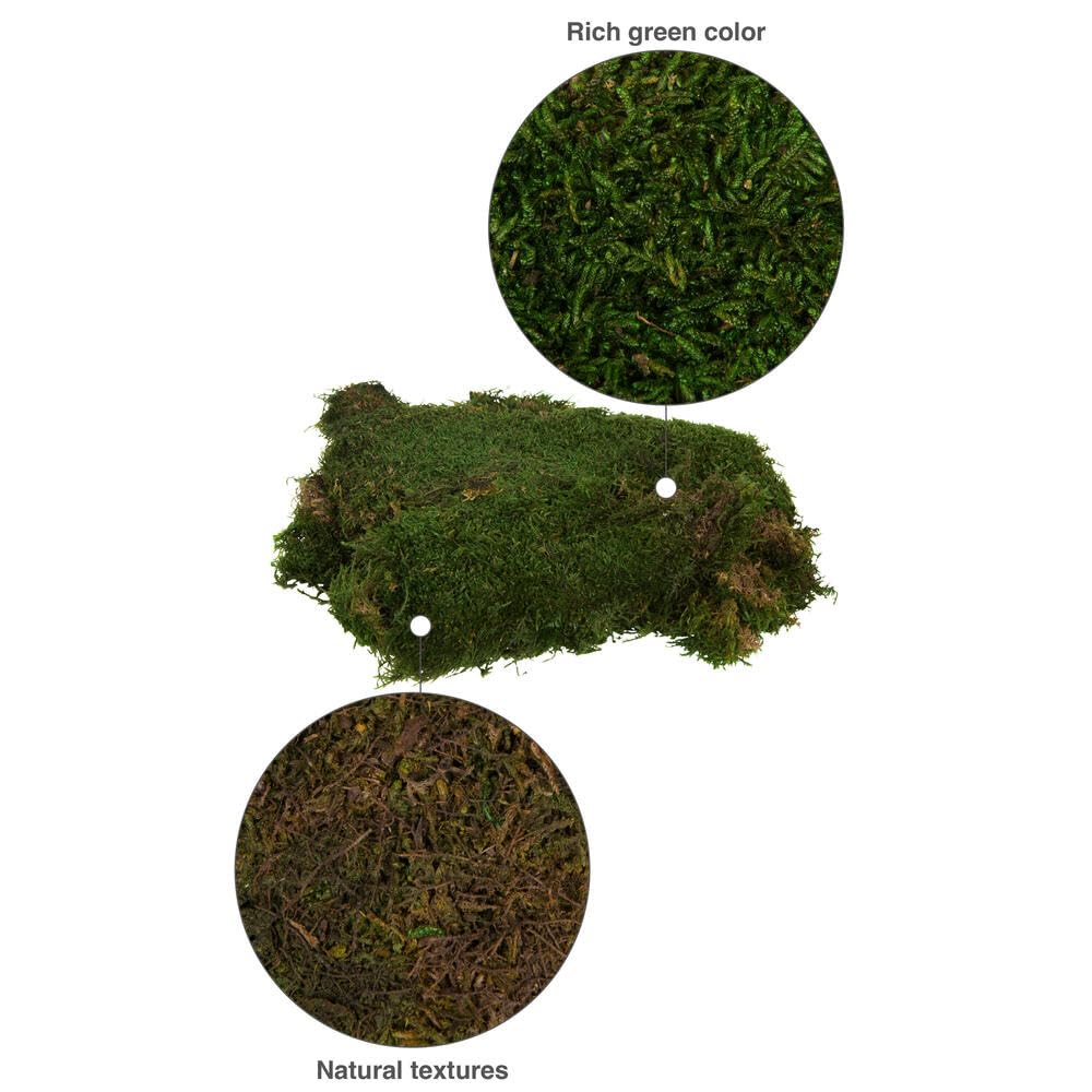 Vickerman Preserved Green Moss Sheet - 6.6 Lbs Bulk Case for Floral Arrangements, Terrariums & Home Decor