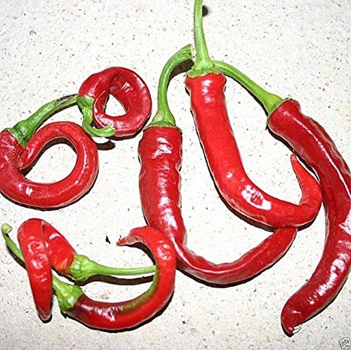 Aji Cacho de Cabra Chili Pepper Seeds (10 Count) - Grow Your Own Authentic Merkén Spice Blend at Home | Perfect for Chilean Cuisine, Hot Sauce Making & Home Gardening