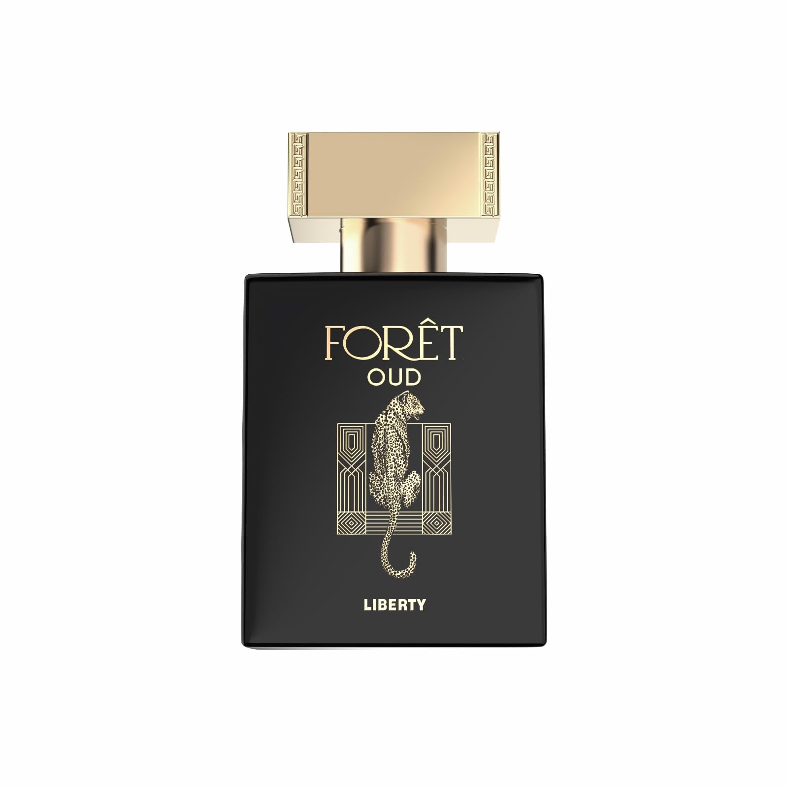 Premium Liberty Oud Perfume for Men - 3.4 Oz Luxury Anniversary Edition | Long-Lasting Eau de Parfum with Woody Fragrance | Perfect for Special Occasions, Date Nights & Gifts