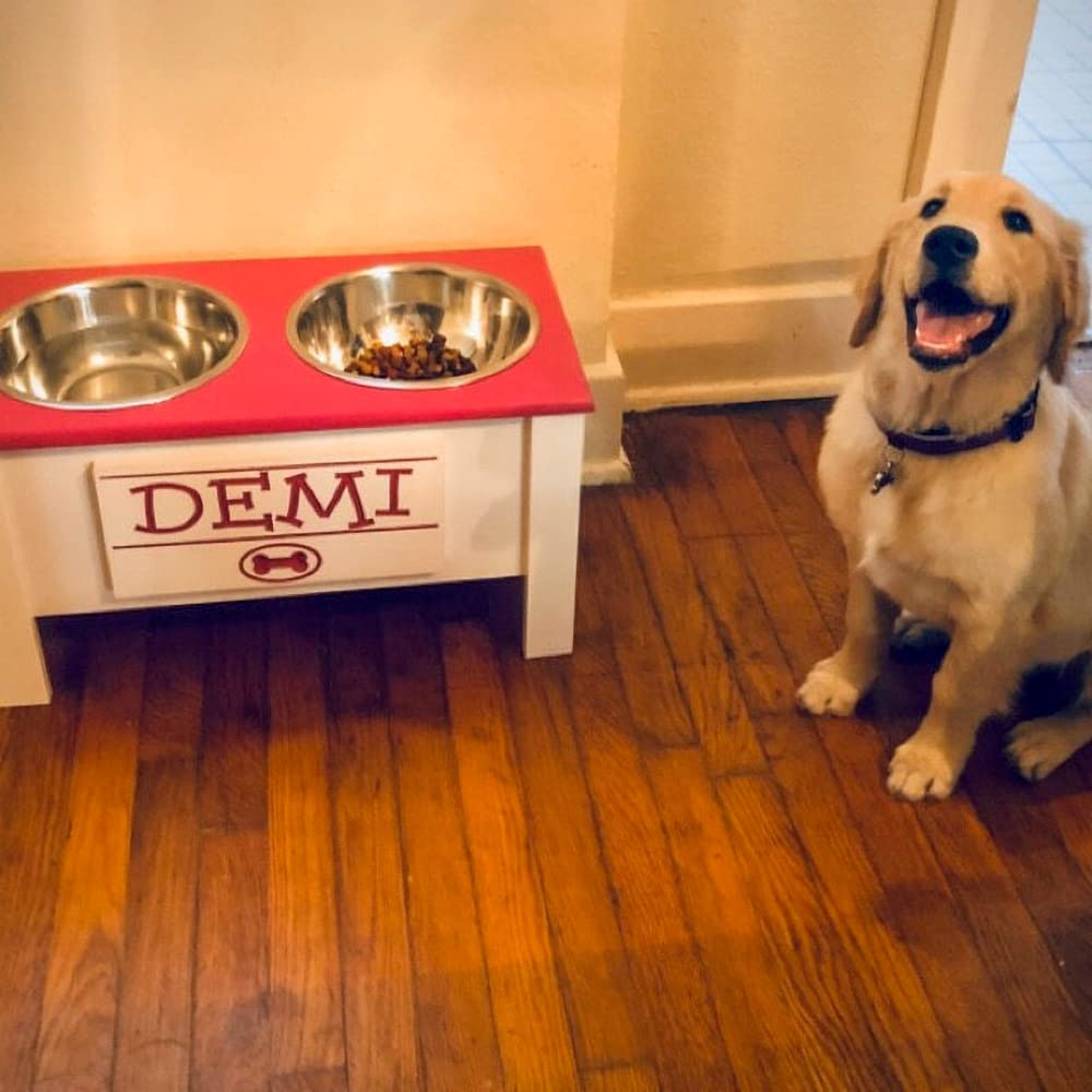 Personalized Elevated Dog Bowl Stand for Large, Medium, Small & X-Small Dogs - Stainless Steel Food & Water Bowls with Internal Storage - Raised Pet Dish for Better Digestion & Comfort (Medium, Magenta) - Perfect for Kitchen, Living Room or Outdoor Use