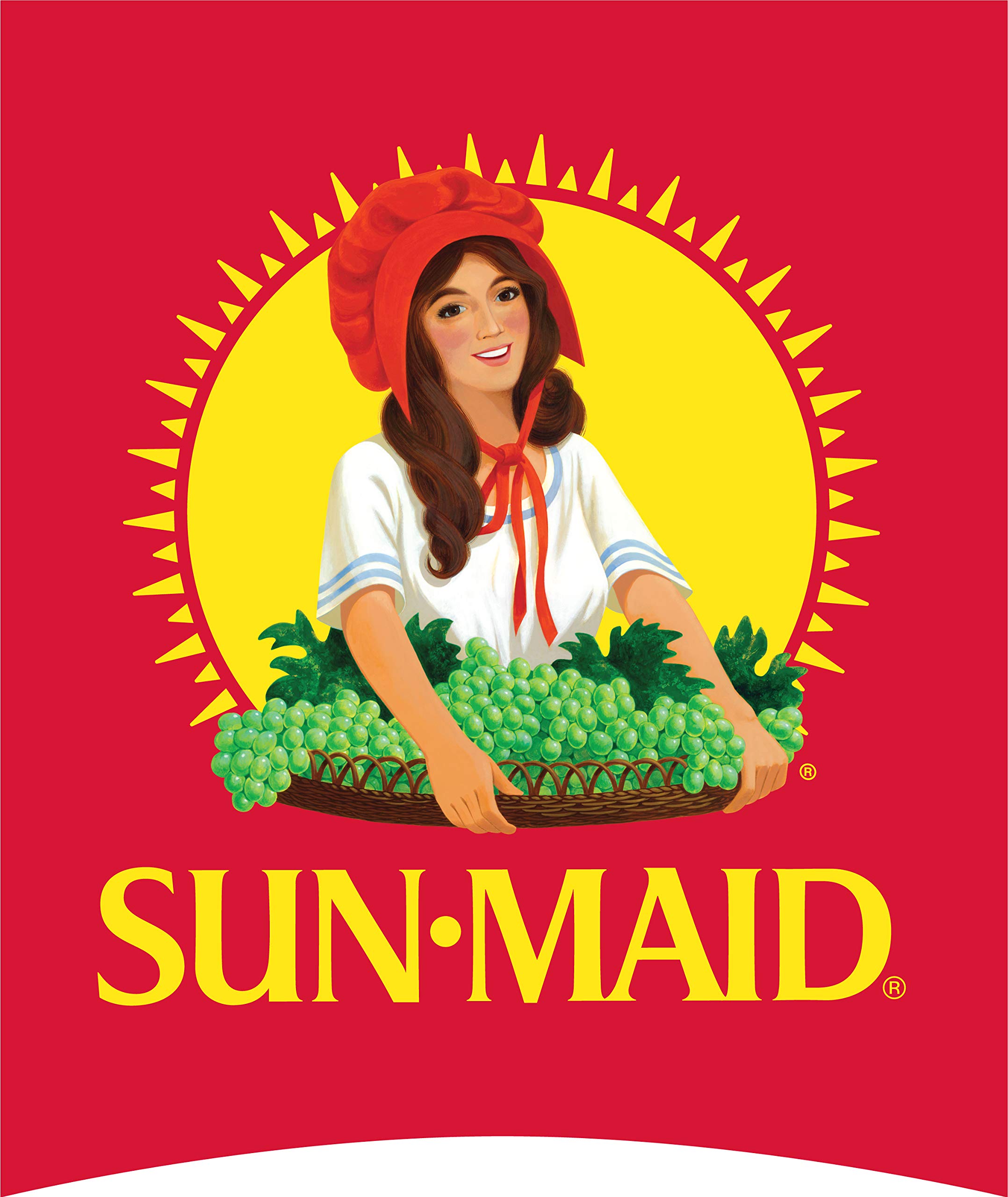 Sun-Maid California Sun-Dried Raisins - 13 oz Resealable Canister - Healthy Dried Fruit Snack for Kids & Adults - Perfect for Lunches, Hiking, Baking & Natural Sweetener Recipes