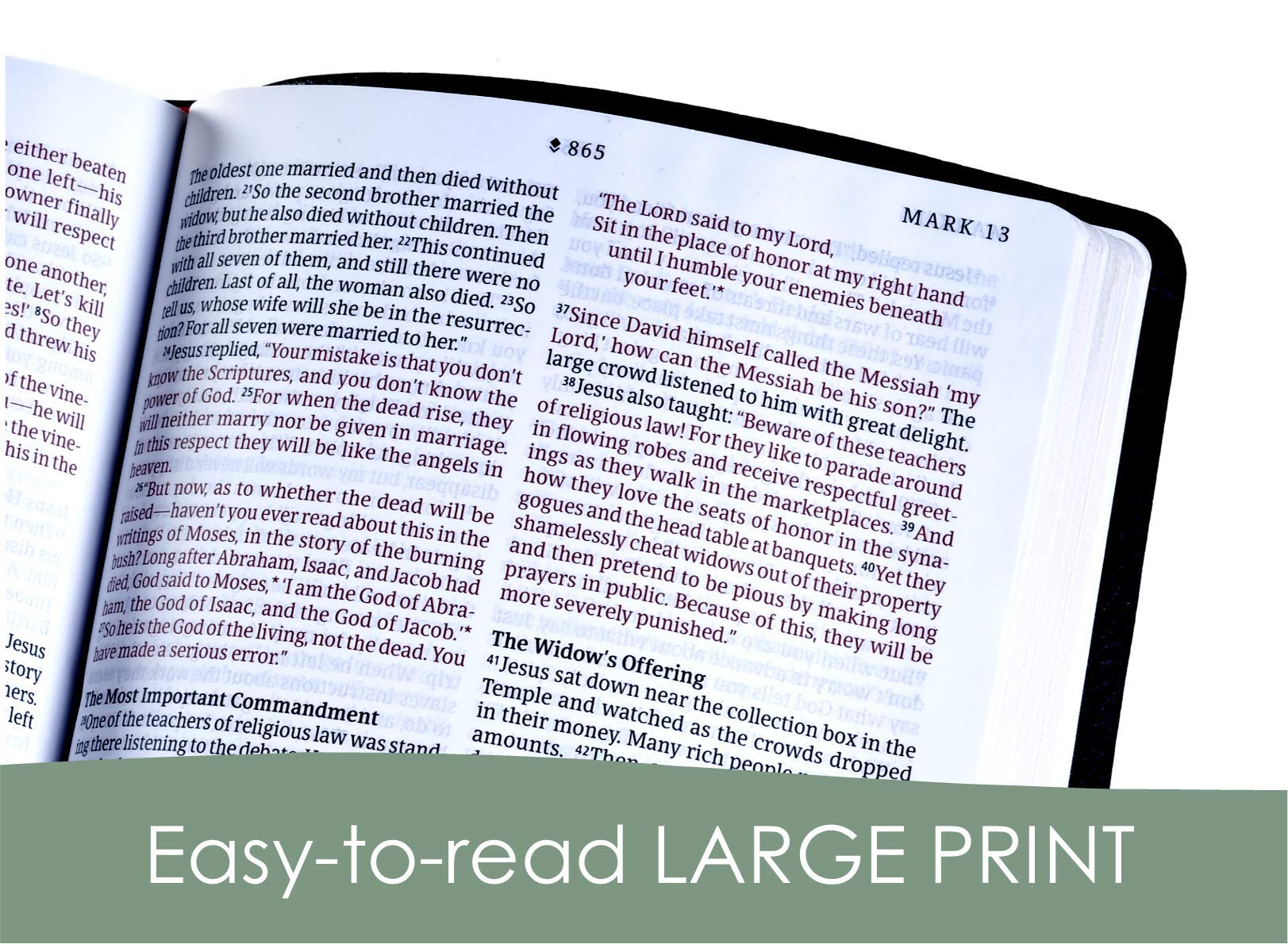 NLT Large Print Thinline Bible - LeatherLike Cover for Easy Reading & Devotion