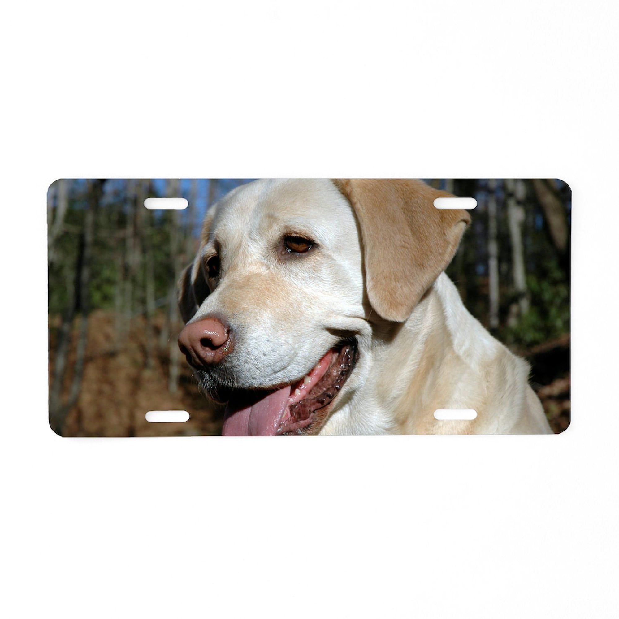 Pennynovember Aluminum License Plate - Custom Front Vanity Tag for Cars, Trucks & Motorcycles - Durable & Personalized Auto Accessory - Perfect for Gifts, Car Shows & Custom Vehicle Decor