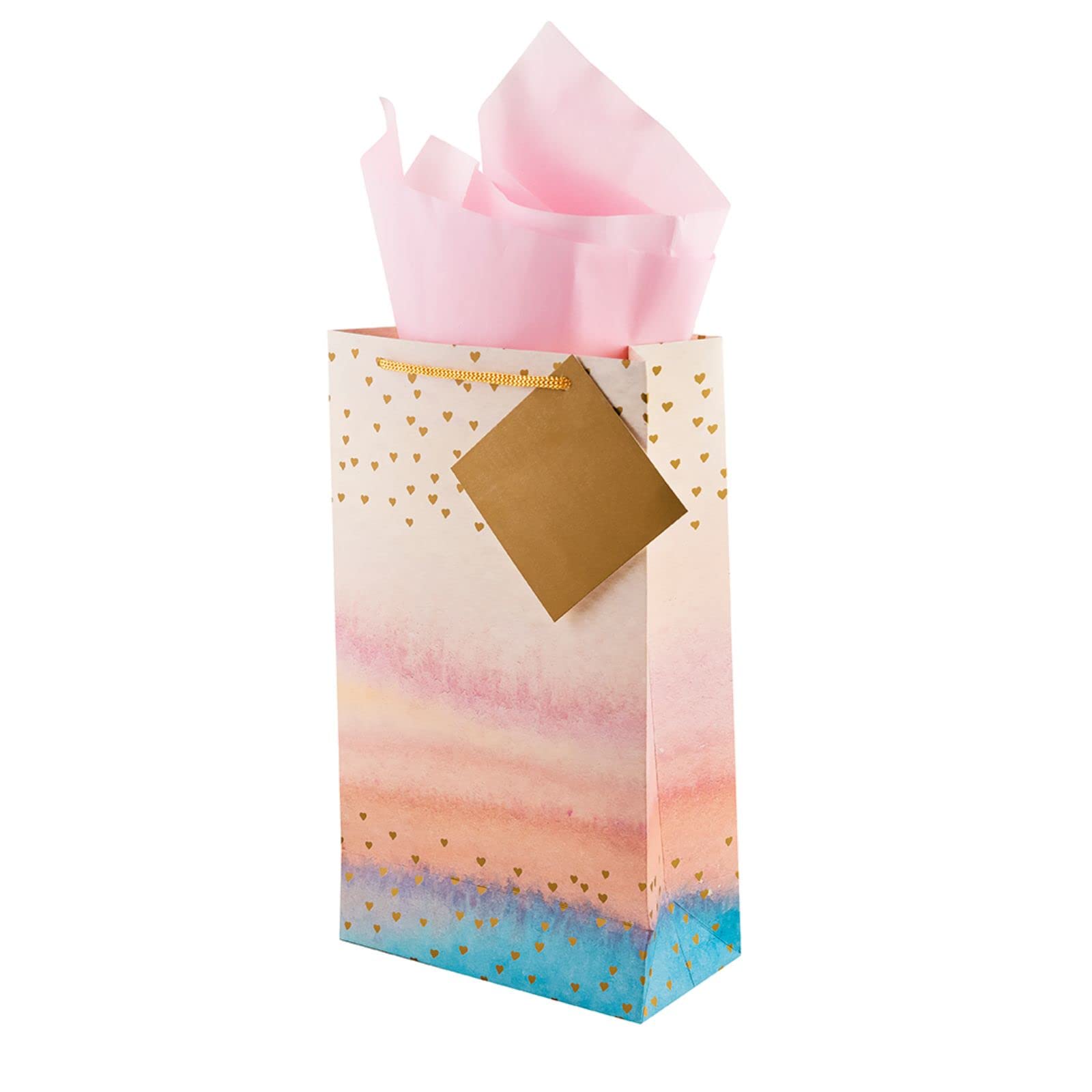 Birch & Co. Premium Multicolor Gift Paper Bags - Small Carry Bags with Tissue & Thank You Card - Pack of 5 - Perfect for Party Favors, Wedding Gifts & Retail Packaging