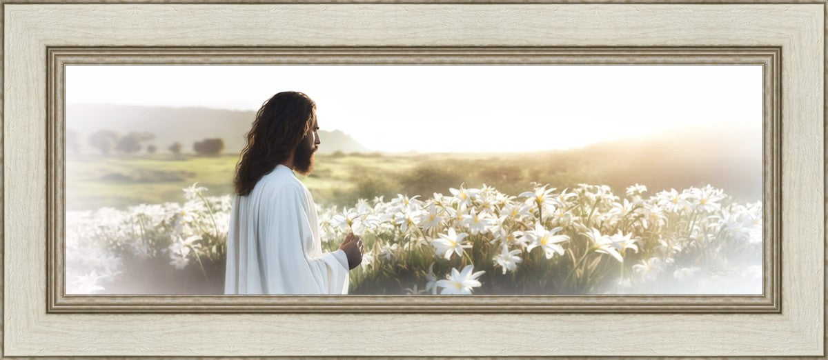 Consider The Lilies - Inspirational Christian Wall Art Decor for Home, Office & Church | Perfect for Gifts, Bible Study & Spiritual Encouragement
