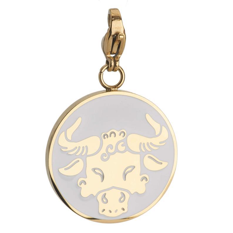 Taurus Zodiac Sign Medallion Necklace - Sterling Silver Bull Pendant for Women & Men - Perfect for Birthdays, Gifts & Astrology Lovers