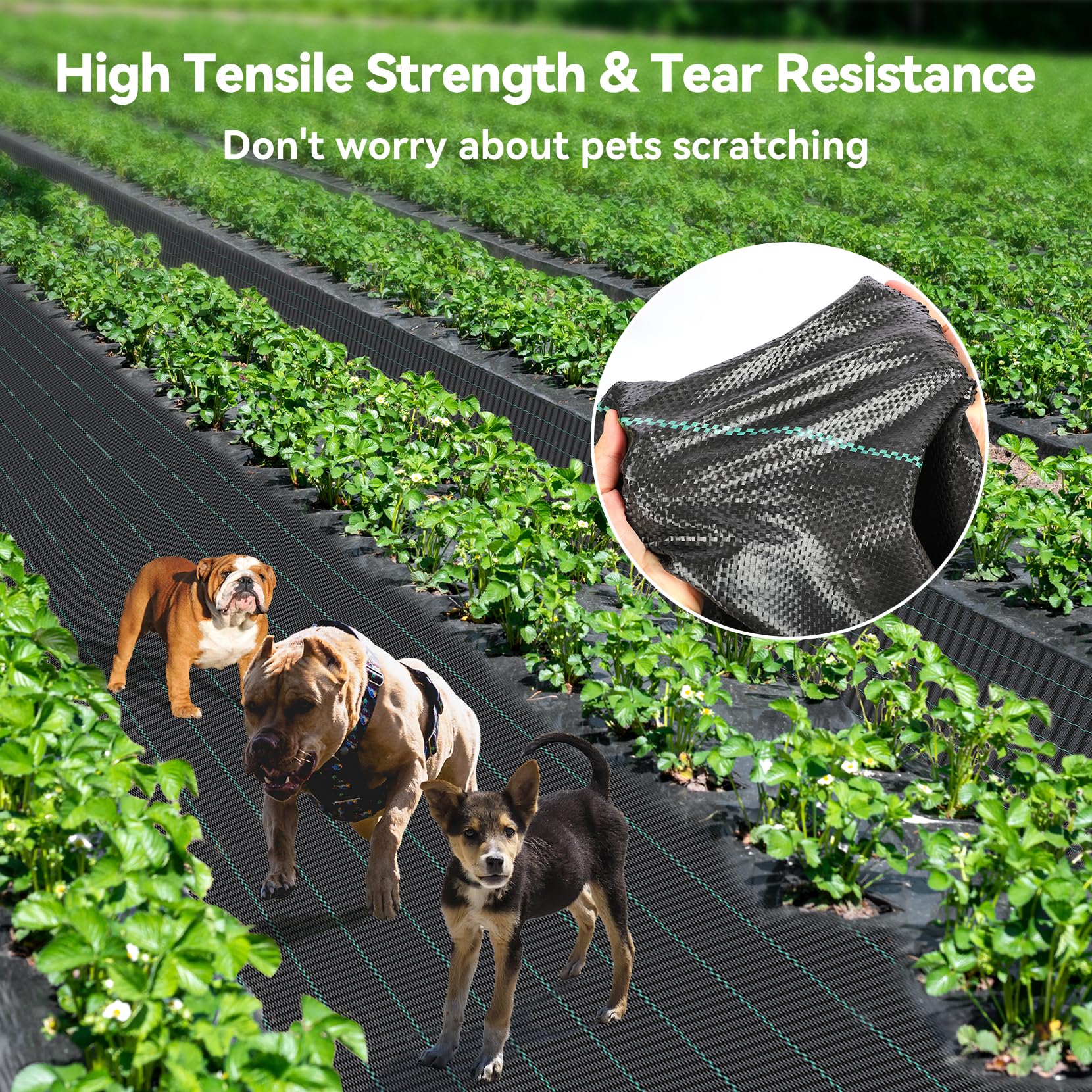 6ft x 300ft Heavy Duty Woven Weed Barrier Landscape Fabric - Premium Weed Control Cloth & Geotextile Underlayment for Gardening, Commercial Driveways, and Ground Cover - Perfect for Weed Prevention in Flower Beds, Vegetable Gardens, and Landscaping Projects