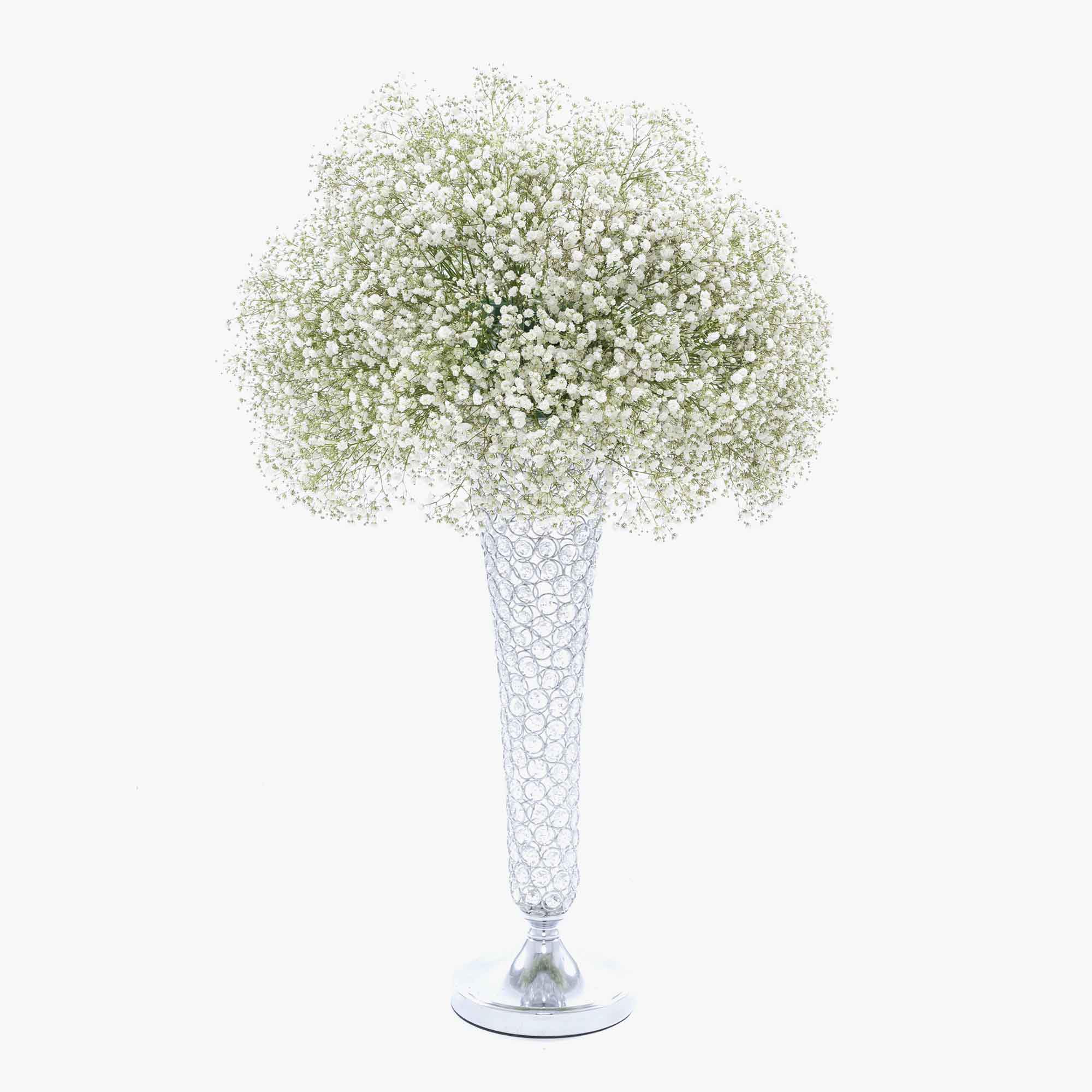 Simply Elegant 23