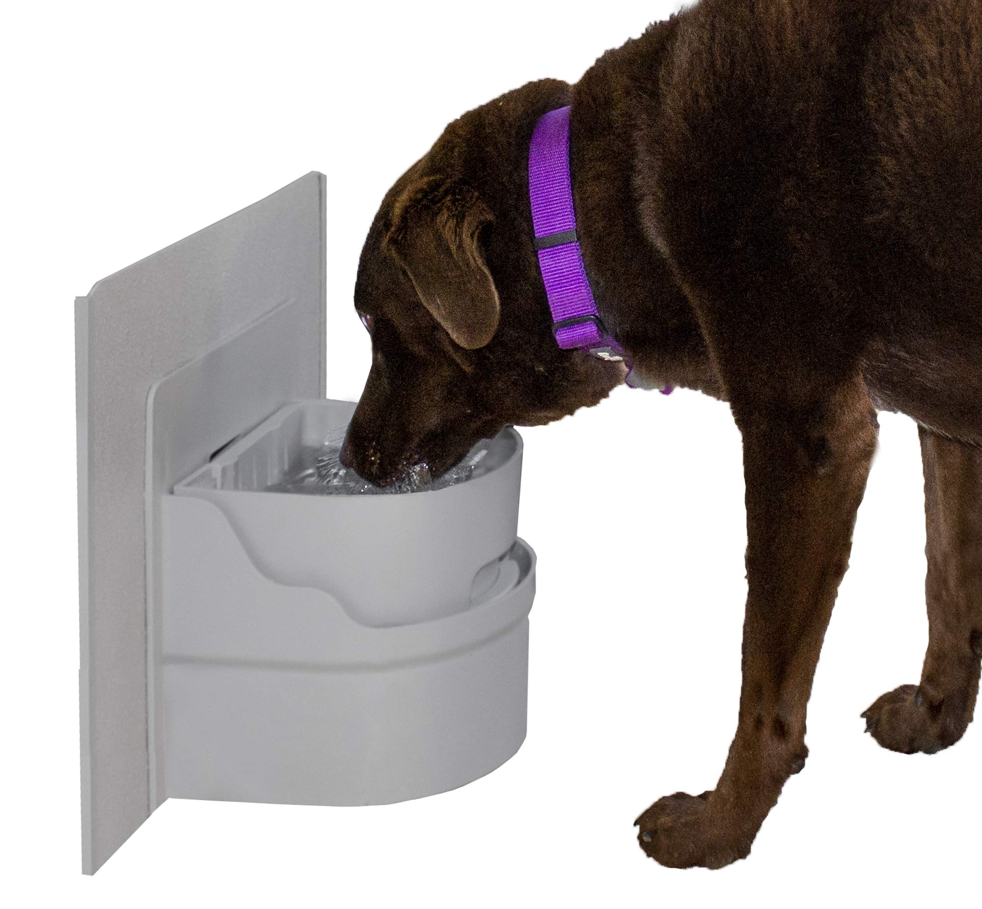 Automatic Wall Mount Pet Water Bowl - Self-Filling Cat & Dog Water Dispenser for Home, Office, or Travel - Perfect for Busy Pet Owners
