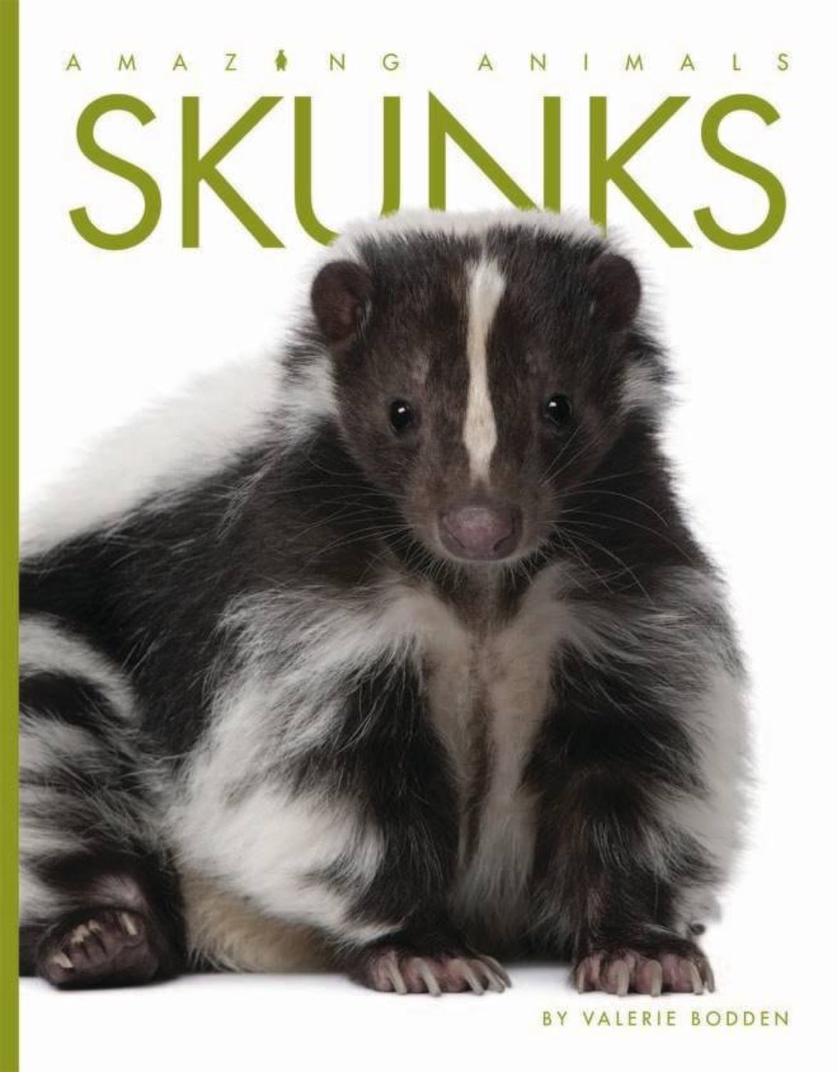 Amazing Animals (2014): Skunks - Fun & Educational Wildlife Documentary for Kids | Perfect for Homeschooling & Nature Learning