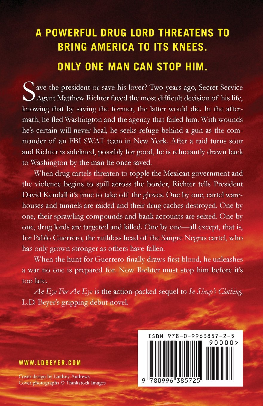 Action-Packed Political Thriller - Matthew Richter Series for Thriller Lovers