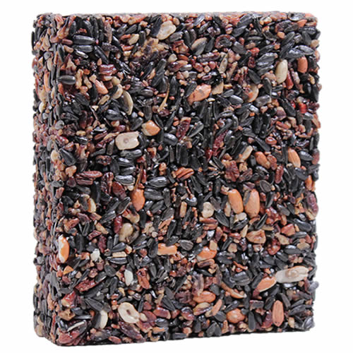 Premium Woodpecker Feast Block - Large Suet Holder for Wild Birds - Perfect for Backyard Bird Feeding & Nature Observation
