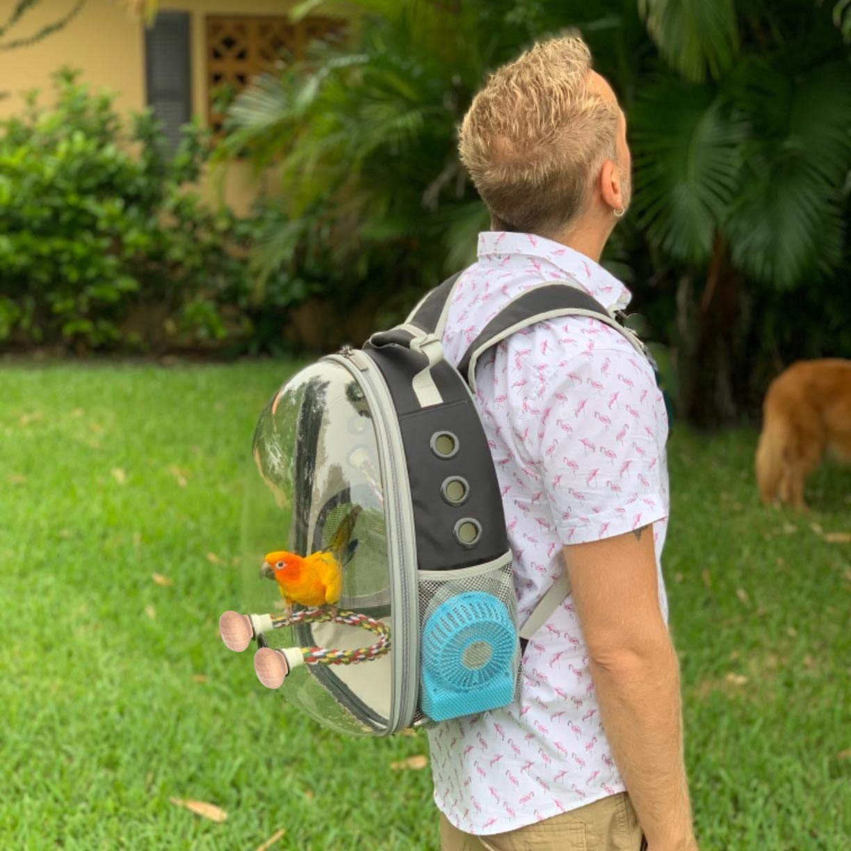 Portable Bird Travel Backpack with Built-in Fan - Perfect for Small Pets, Outdoor Adventures & Air Travel