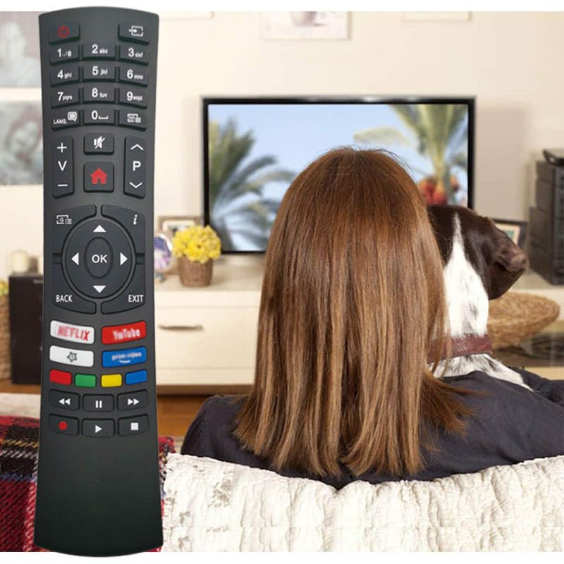 Universal TV Remote Control for Bush, Vestel, Nordmende Smart LED LCD HDTV - No Setup Needed | Perfect Replacement for Lost or Broken Remotes | Living Room, Bedroom, Office Use
