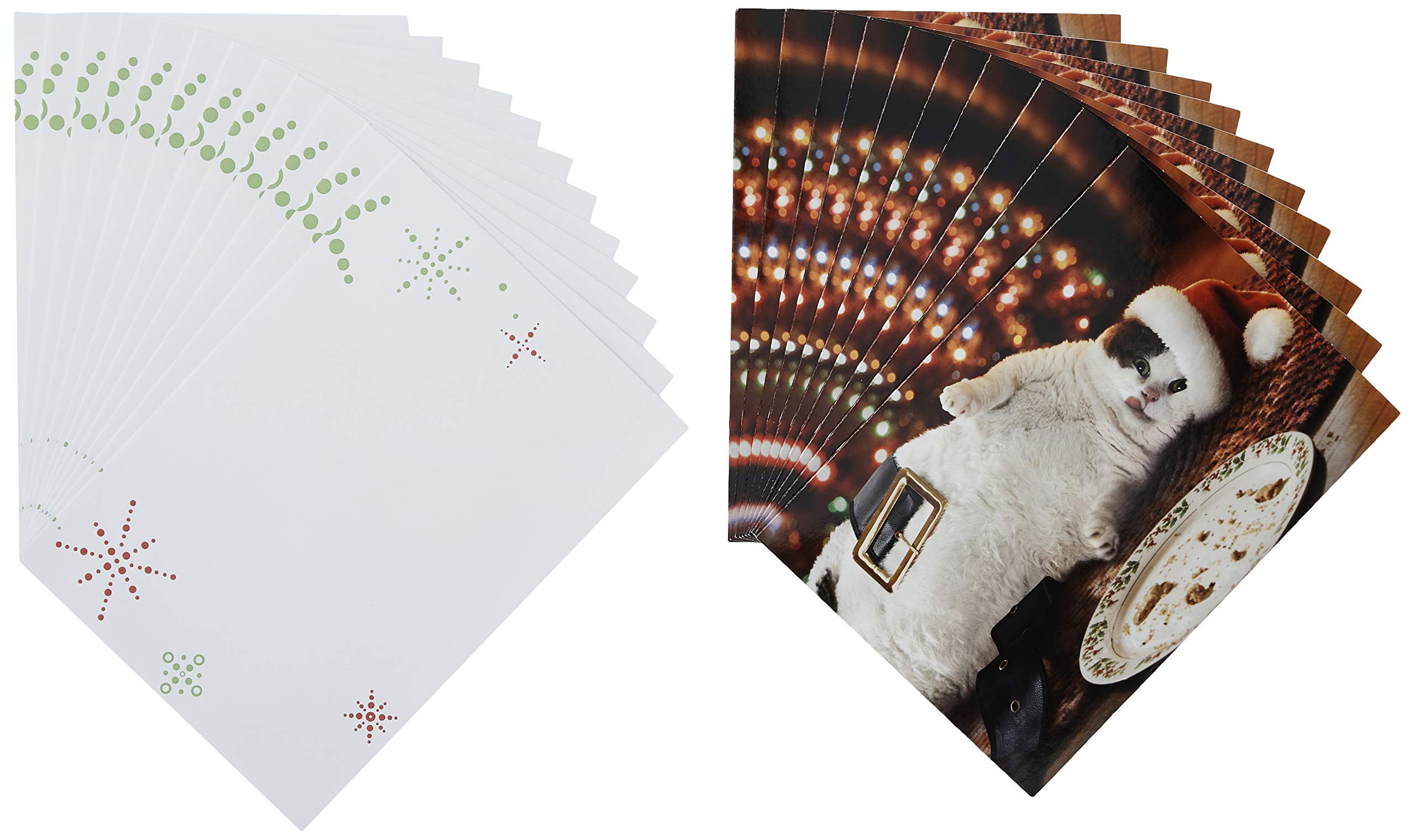 Avanti Press Christmas Cards - Santa Cat with Cookies (Set of 10) | 703952 | Holiday Greeting Cards for Family, Friends & Coworkers