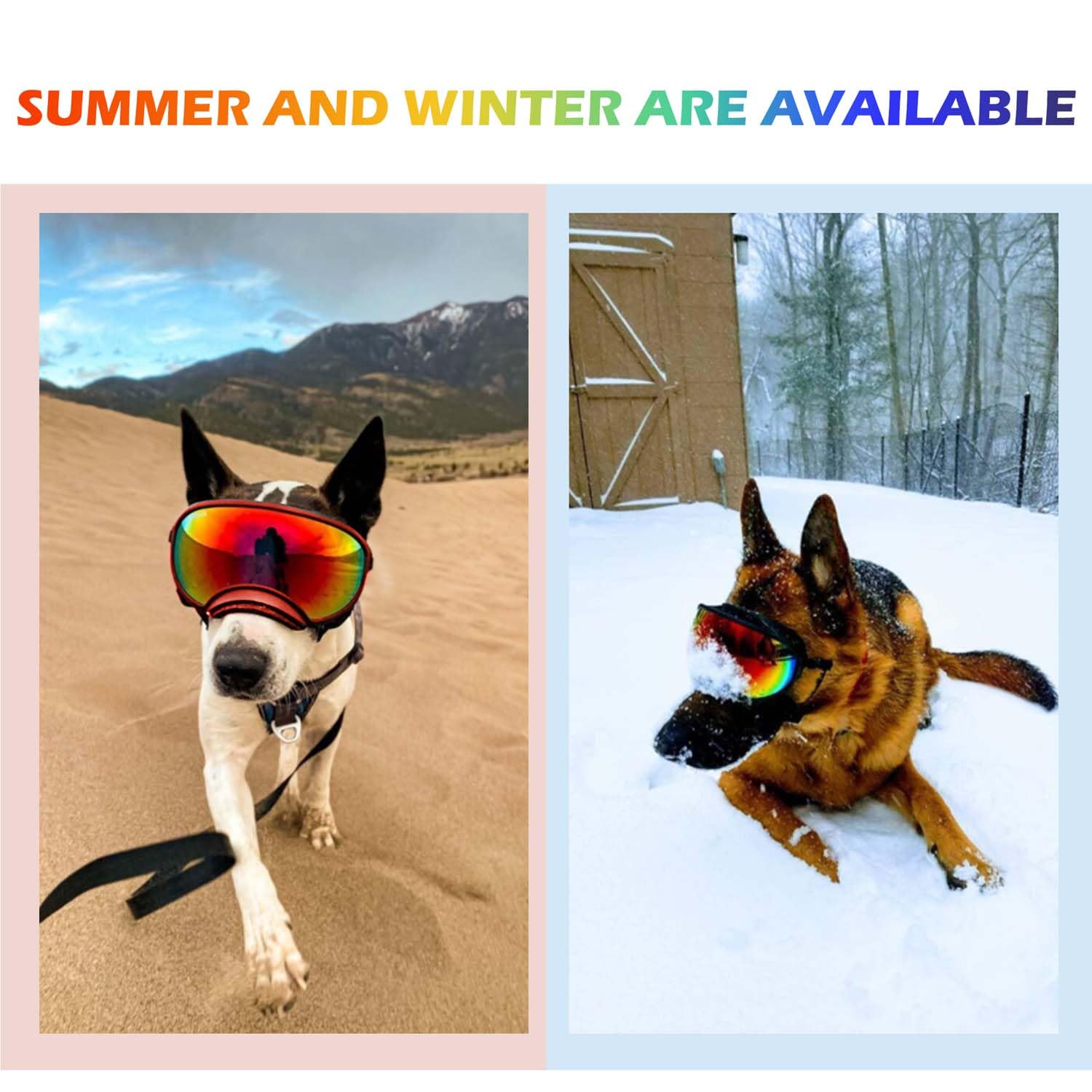 UV Protection Small Dog Sunglasses with Adjustable Strap - Windproof Puppy Sunglasses for Eye Protection - Soft Comfortable Dog Goggles for Outdoor Activities, Beach & Car Rides