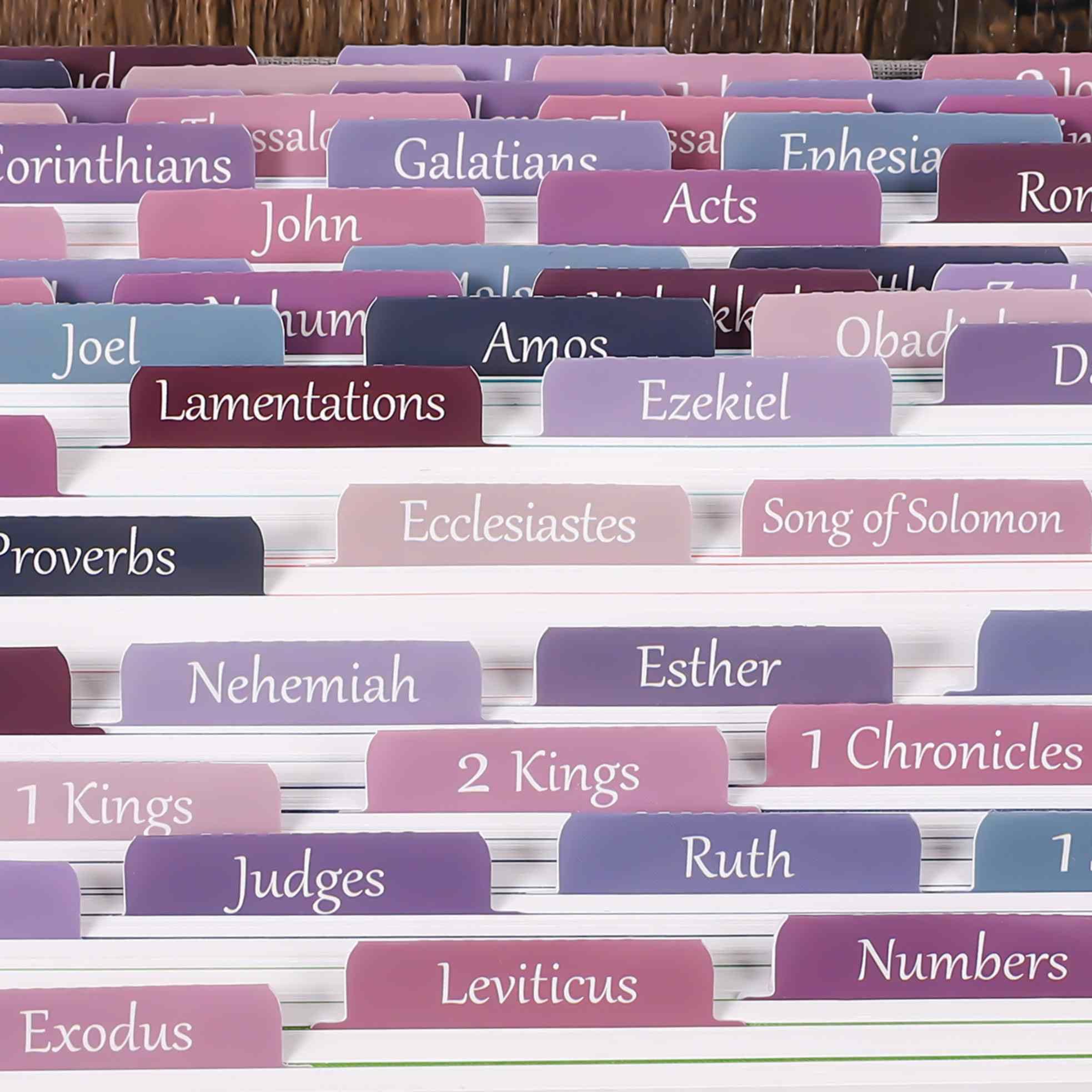 Thinkor Laminated Bible Tabs - Large Print Repositionable Christian Gift for Women & Men - Easy to Read Bible Journaling Tabs (Purple & Pink) - Perfect for Bible Study, Scripture Organization & Church Gifts
