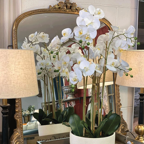 Bella Vita Mantle Mirror - Antique Gold Finish 100cm - Elegant Wall Decor for Living Room, Bedroom & Entryway