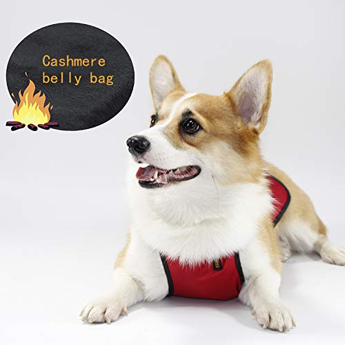 Waterproof Dog Belly Vest - Warm Pet Apron Cover Protector Harness for Small Dogs, Puppies & Corgis - Ideal for Cold Weather, Outdoor Walks & Post-Surgery Protection