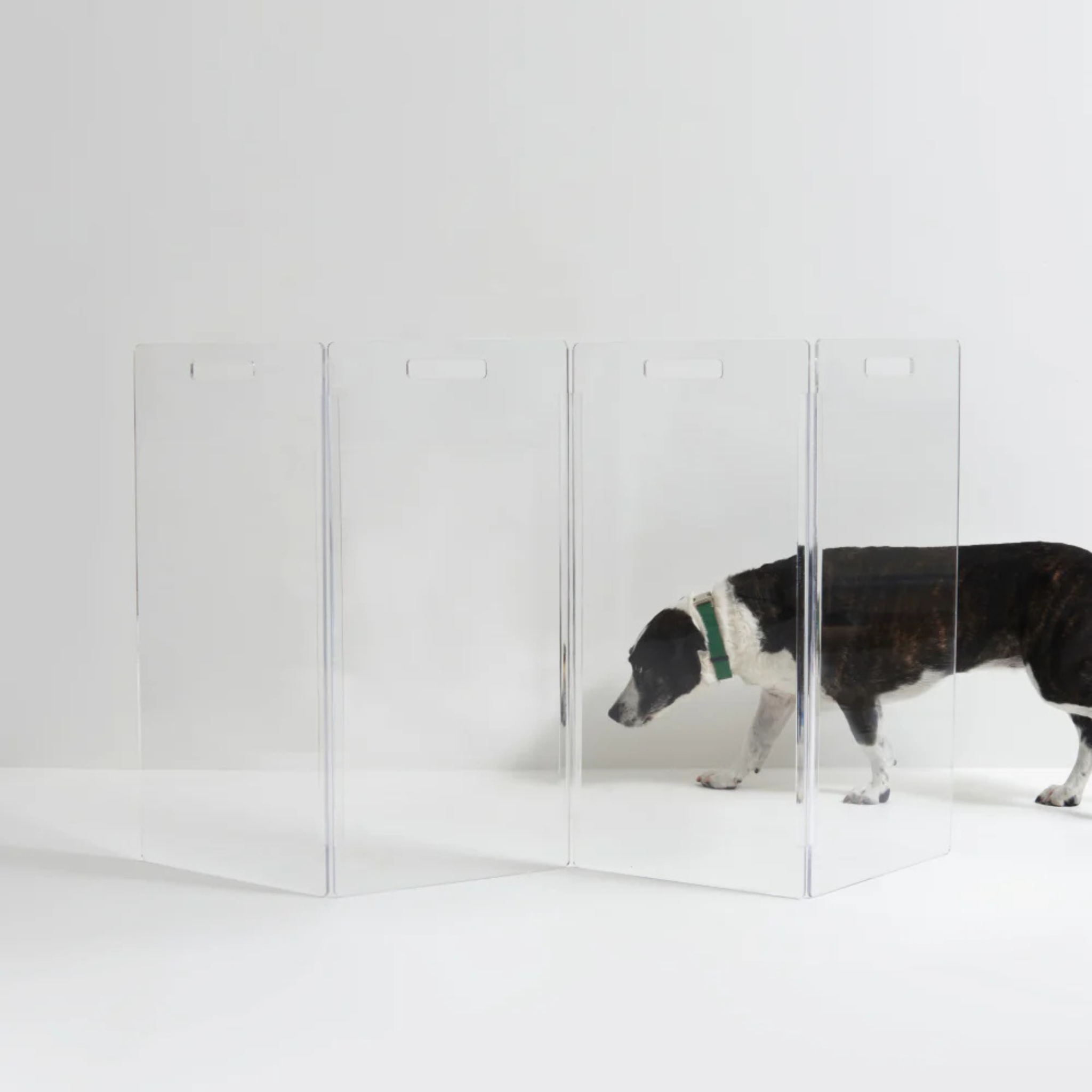 Clear Freestanding Zig Zag Panel Pet Gate - Expandable Safety Barrier for Dogs & Cats - Perfect for Doorways, Hallways & Stairs - Home & Office Use