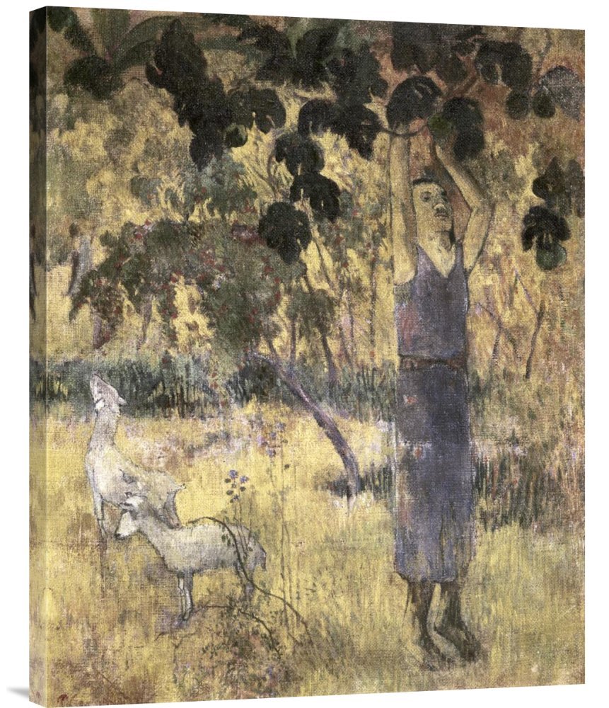 Paul Gauguin 'Man Gathering Fruit' Gallery Wrap Canvas Art Print - Premium Giclee Reproduction - Tropical Wall Decor for Living Room, Dining Room & Office