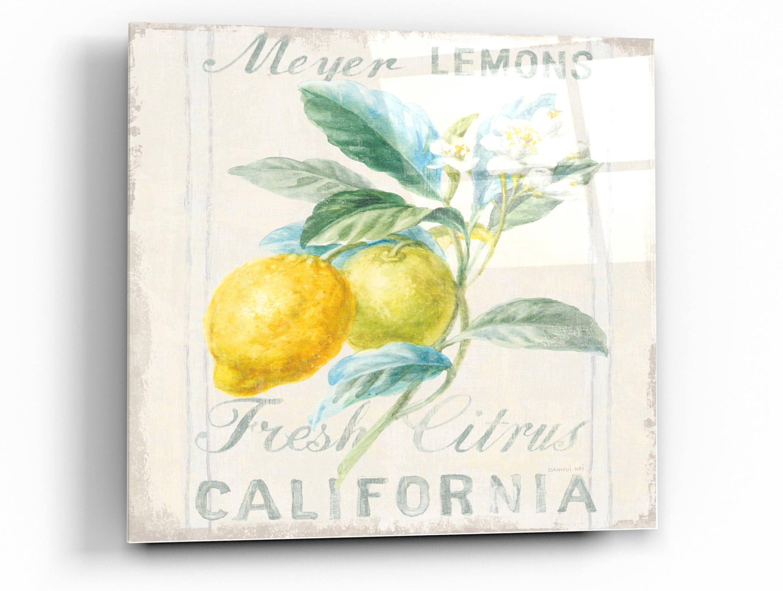 Danhui Nai 'Floursack Lemon II' Acrylic Glass Wall Art - 36x36 Inches Modern Abstract Painting for Living Room, Bedroom & Office Decor