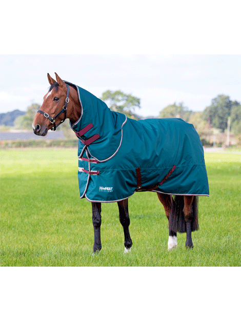 Shires Tempest Medium Weight Turnout Rug & Neck Cover - Waterproof Horse Blanket for Winter Riding and Stable Use