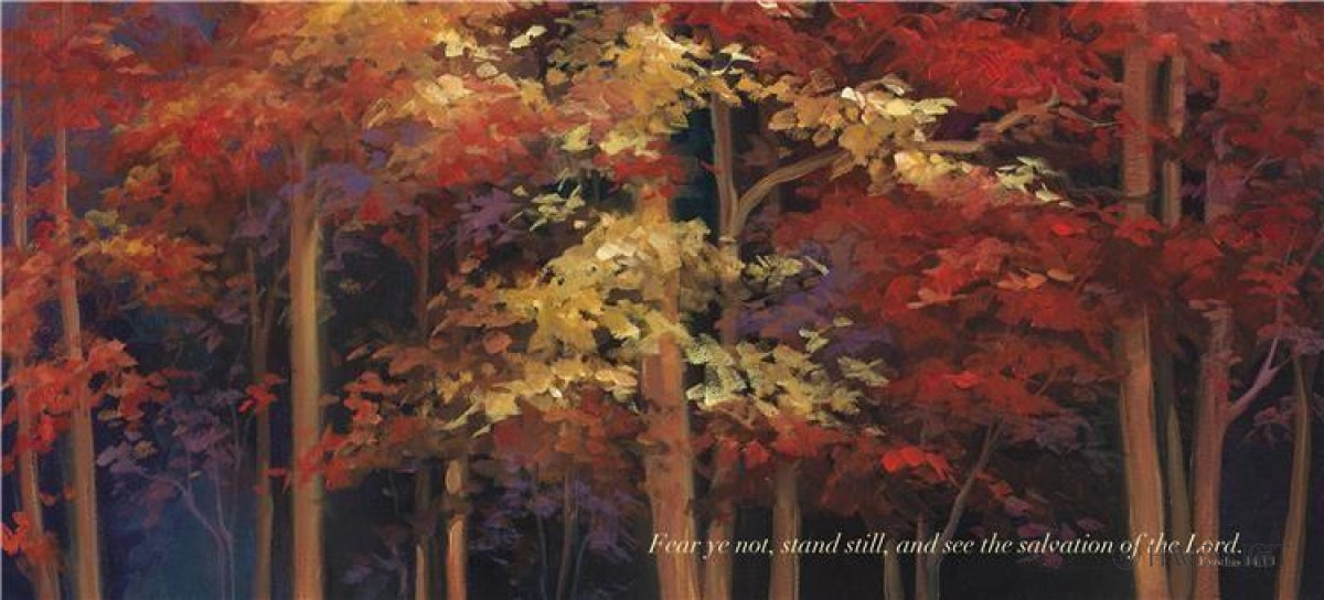 Fear Ye Not By Ruth Hewlett - Inspirational Christian Book for Women - Perfect for Daily Devotionals & Bible Study Groups