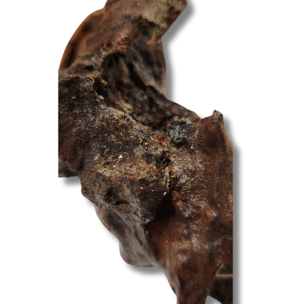 Natural Coral Wood Small Decorative Pieces 10-15cm - Perfect for Home Decor, Aquariums, and DIY Crafts