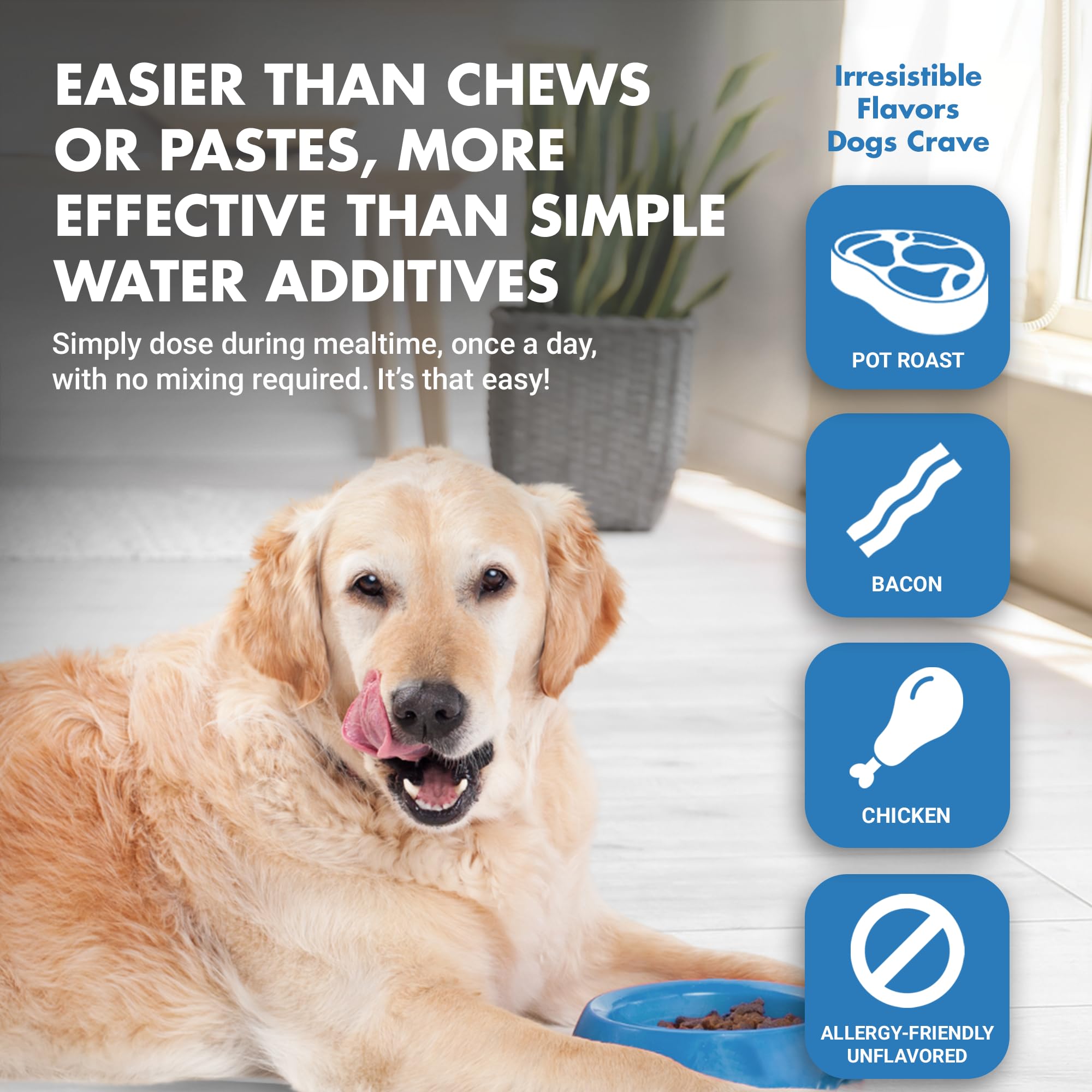 Cool PET Holistics K9 Advanced Dental Care Formula for Dogs - Teeth & Gum Health Supplement, Chicken Flavor, 8 oz BOGO Trial Pack | Supports Fresh Breath & Plaque Control for Small & Large Breeds - Perfect for Daily Oral Care Routine