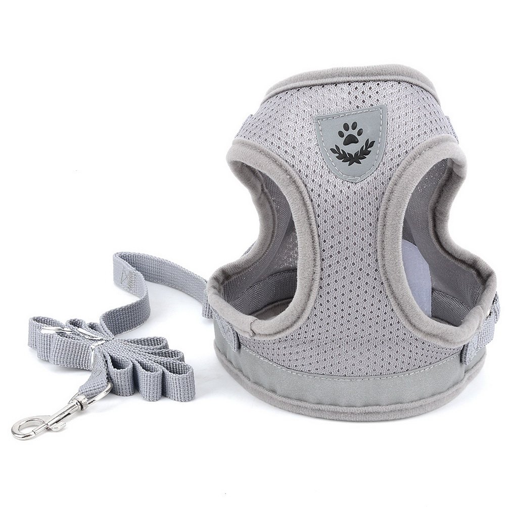 Zunea No Pull Reflective Adjustable Small Dog Harness & Leash Set - Soft Mesh Padded Step-in Puppy Vest for Walking, Escape Proof Cat Harness for Dogs & Kittens (Gray) - Perfect for Outdoor Adventures, Park Visits & Daily Walks