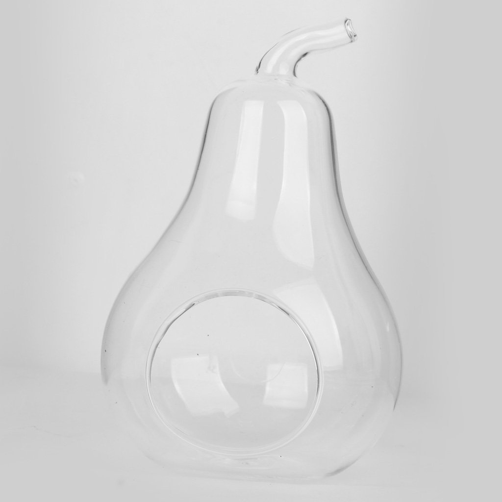 Pear Shaped Glass Hanging Vase - Elegant Plant Flower Decor for Home, Wedding, Garden & Office | Handmade Clear Glass Bottle for Air Plants, Succulents & Fresh Cut Flowers