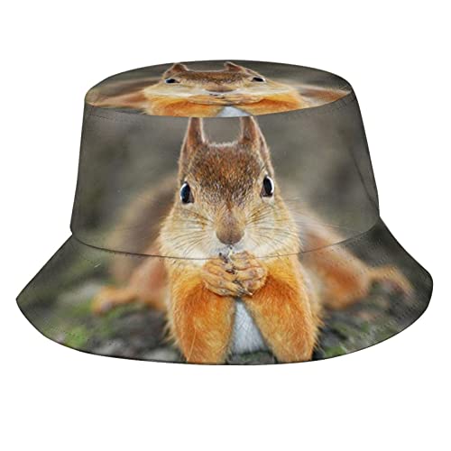 Squirrel 09