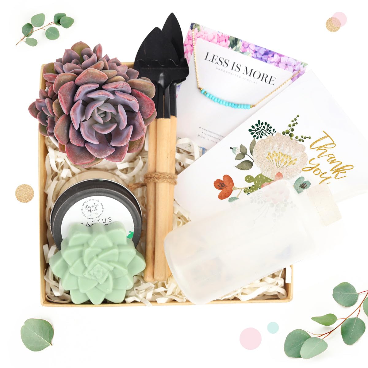 Premium Succulent & Air Plant Gift Box for Women - Personalized Plant Lover Gift Set - Unique Holiday & Birthday Present - Home Office Desk Decor & Housewarming Gift Idea