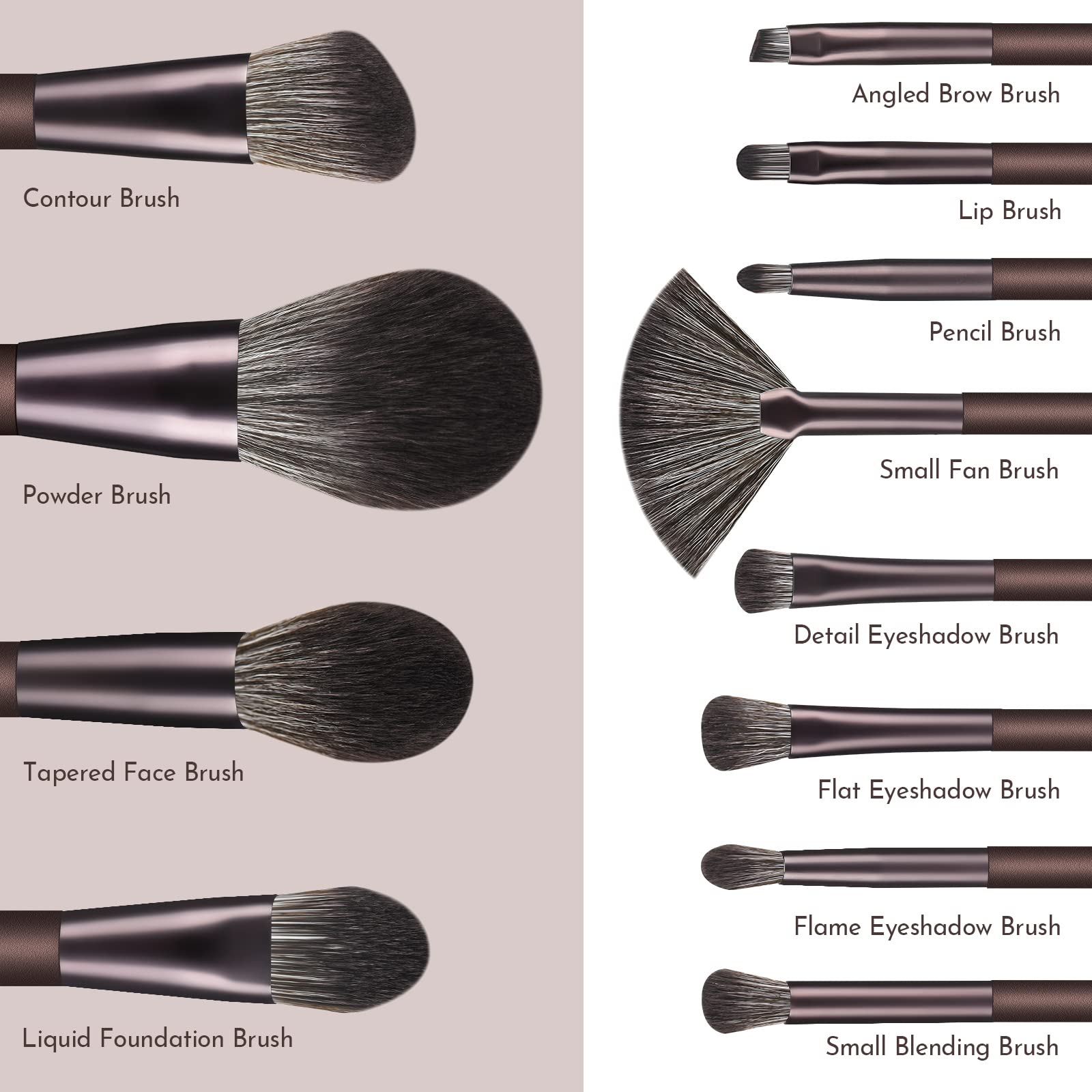 12-Piece Professional Makeup Brush Set - Premium Synthetic Bristles for Foundation, Concealer & Eyeshadow (Coffee) | Perfect for Daily Makeup, Travel & Professional Makeup Artists