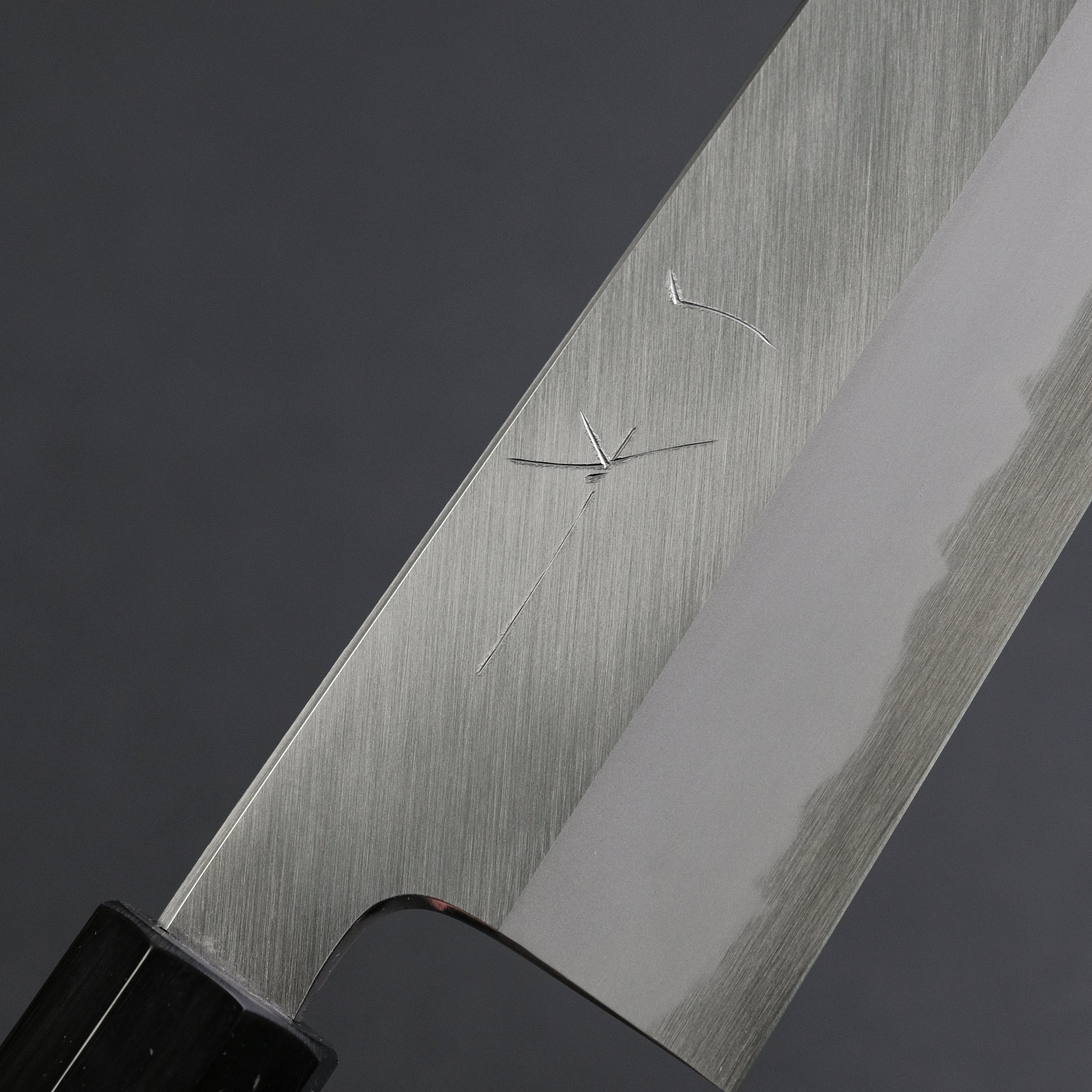 Hitohira Tanaka Kyuzo Blue #1 Migaki Gyuto 240mm Japanese Chef Knife - Taihei Makassar Ebony Handle - Perfect for Sushi, Meat Slicing & Professional Kitchen Use