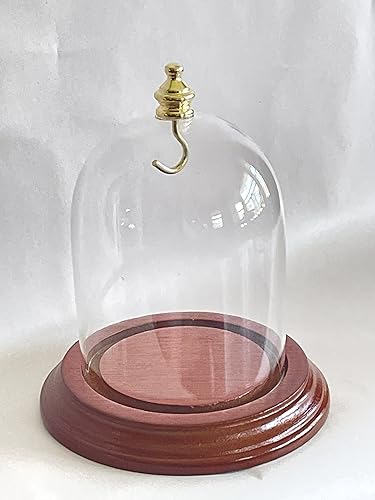 3x4 Glass Display Dome with Brass Knob & Walnut Base - Showcase Collectibles