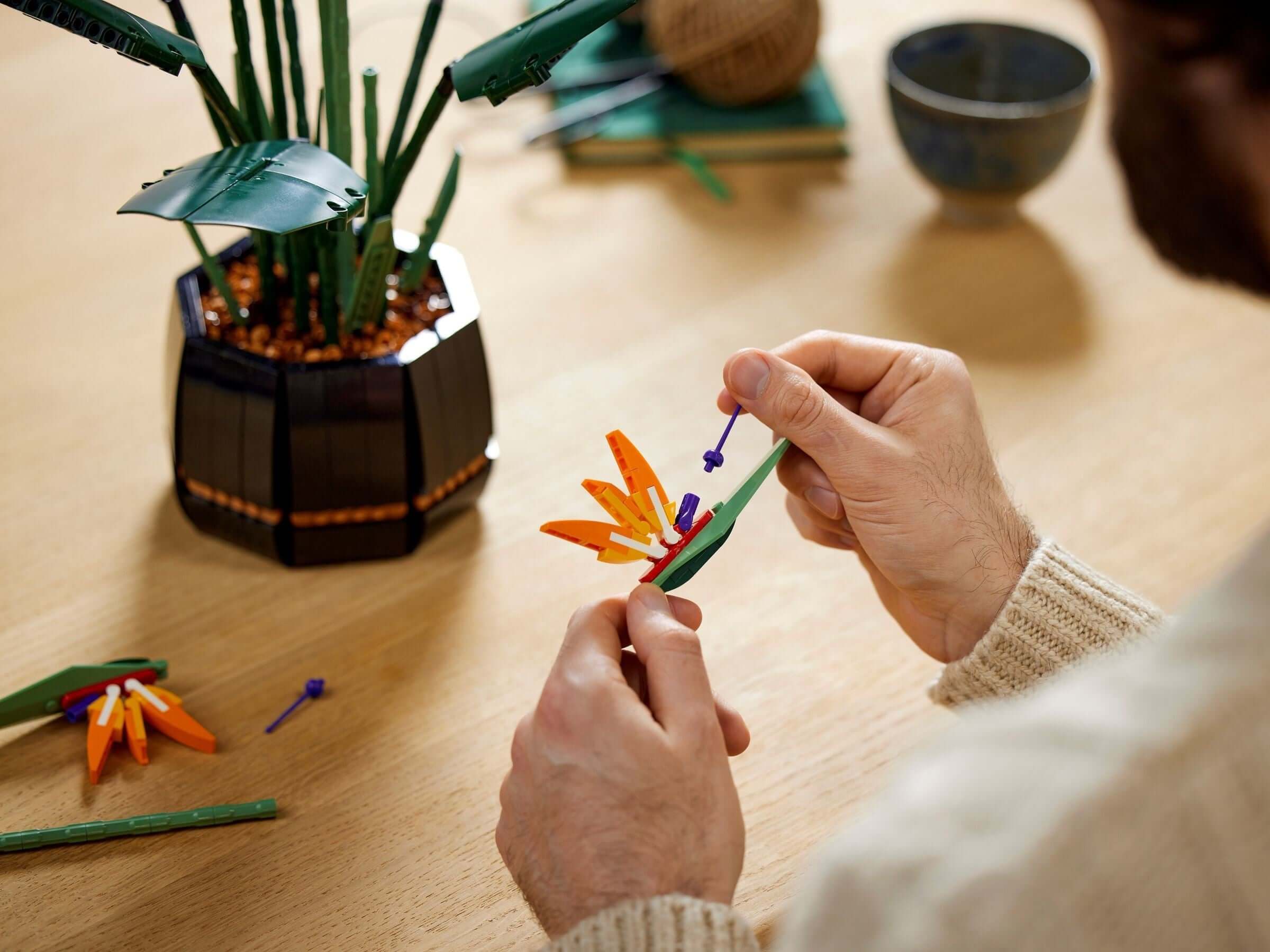 LEGO 10289 Bird of Paradise Building Set - Exotic Flower Model Kit for Adults, Home & Office Decor, Creative Gift Idea for Plant Lovers - Perfect for Relaxation, Stress Relief & Interior Design Projects