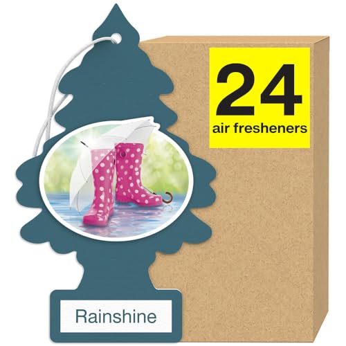 Rainshine
