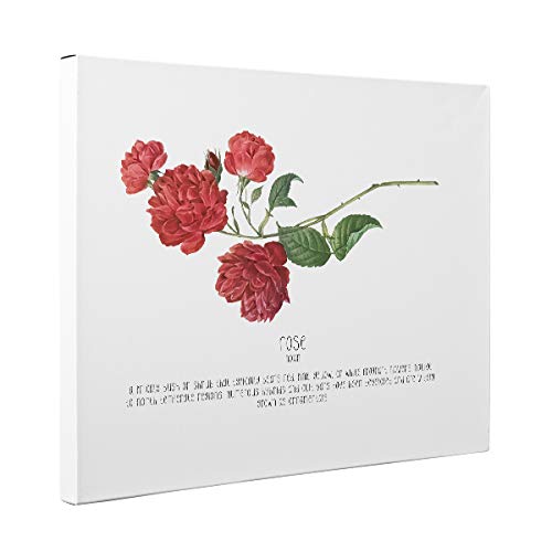 Rose Definition Canvas Wall Art - Elegant Floral Home Decor for Living Room, Bedroom & Office | Perfect Gift for Housewarming, Wedding & Anniversary