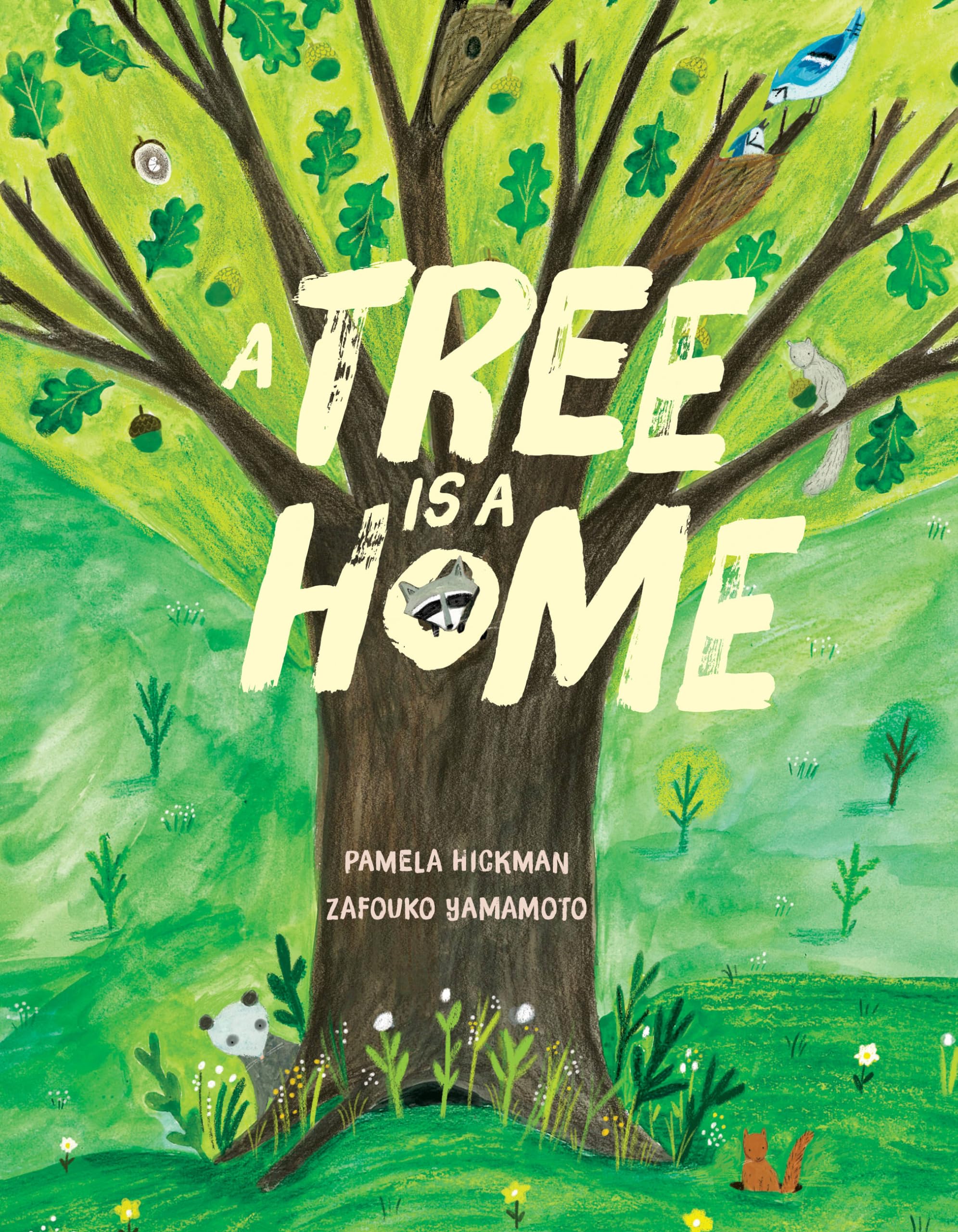 A Tree Is a Home - Children's Nature Picture Book About Animal Habitats | Perfect for Bedtime Stories, Classroom Learning & Nature Exploration
