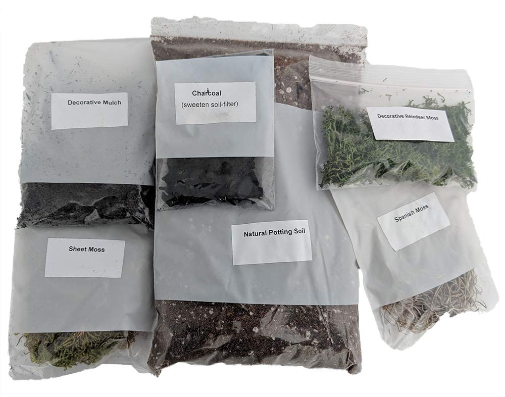 A Tiny World of Wonders: The Story of Emma and Her DIY Terrarium Kit