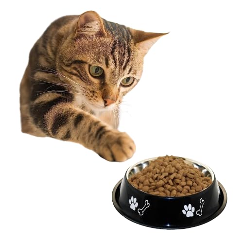 Movson 1000ml Stainless Steel Pet Bowl with Non-Slip Rubber Base - Premium Dog Cat Rabbit Food & Water Dish - Rustproof & Scratch Resistant - Ideal for Puppies, Kittens & Small Pets - Perfect for Home, Travel & Outdoor Use (2-Pack)