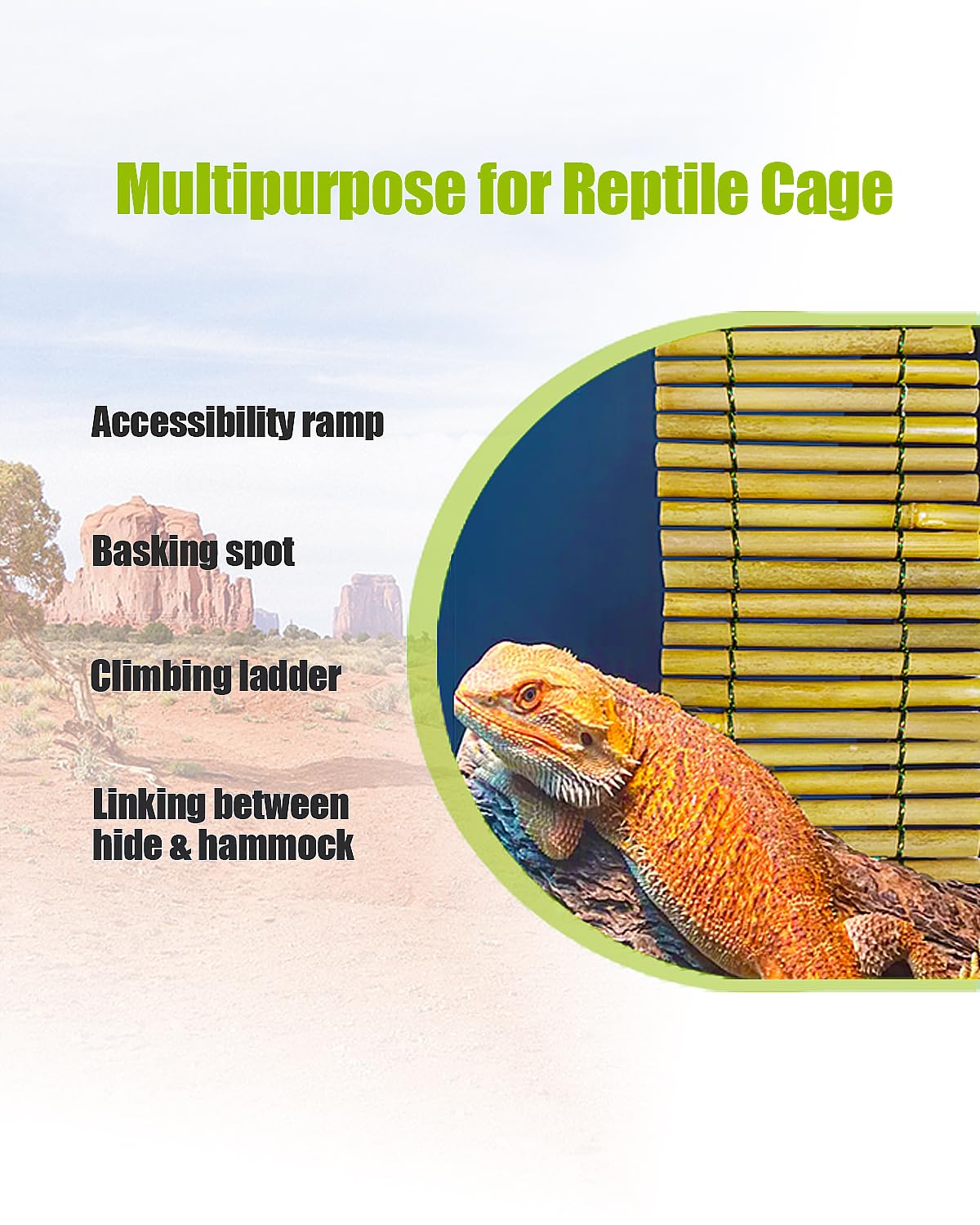 Premium Reptile Hammock & Climbing Bridge - 12