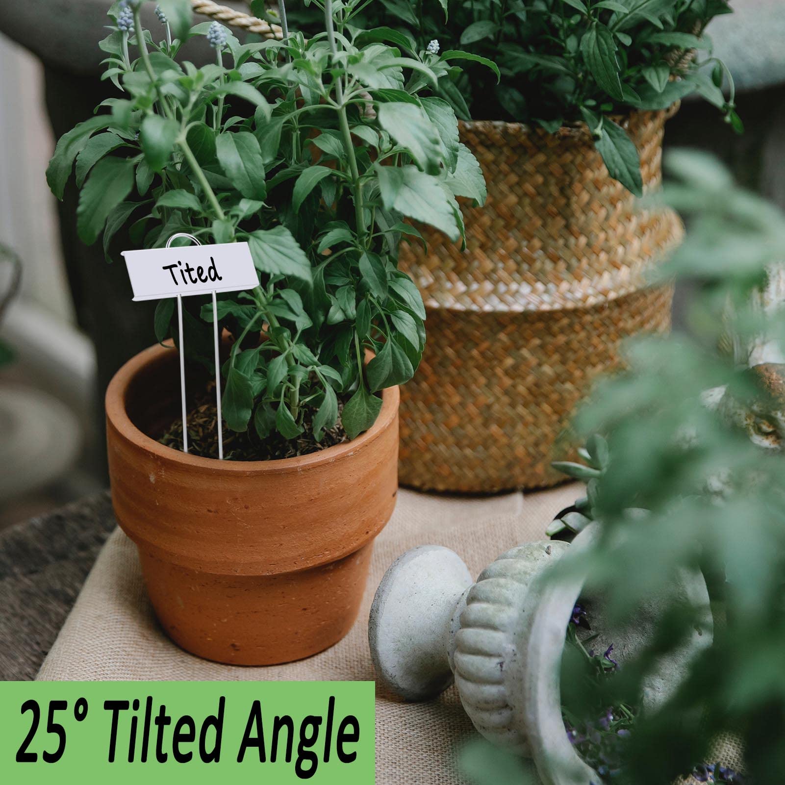 30pcs Waterproof Metal Plant Labels - 11inch Garden Markers for Outdoor Plants, Seedlings, Herbs & Vegetables - Durable Greenhouse & Gardening Gift (White) - Perfect for Organizing Your Garden, Greenhouses & Plant Nurseries