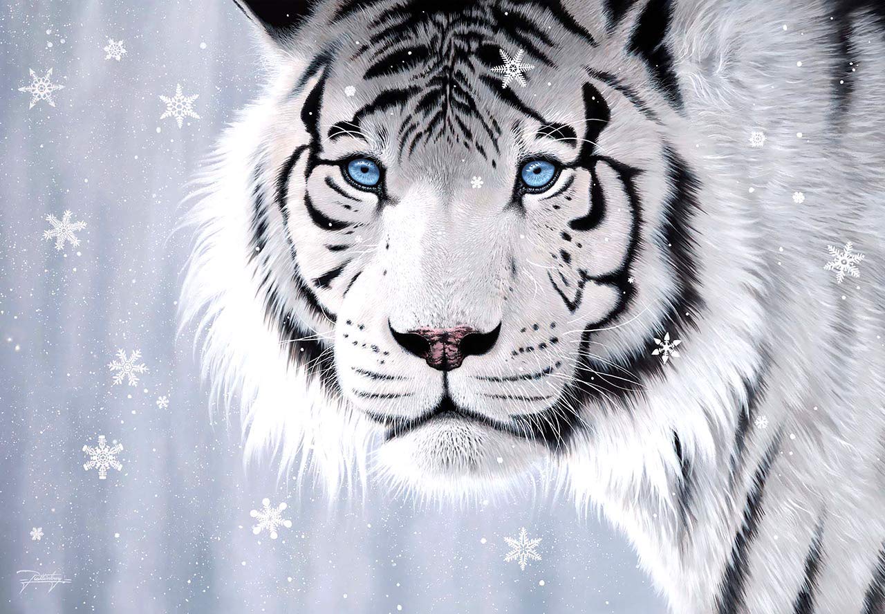 Anatolian Puzzle - Crystal Eyes, 500 Piece Jigsaw Puzzle for Adults & Teens (#3613) | Challenging Art Puzzle for Family Game Night & Relaxation