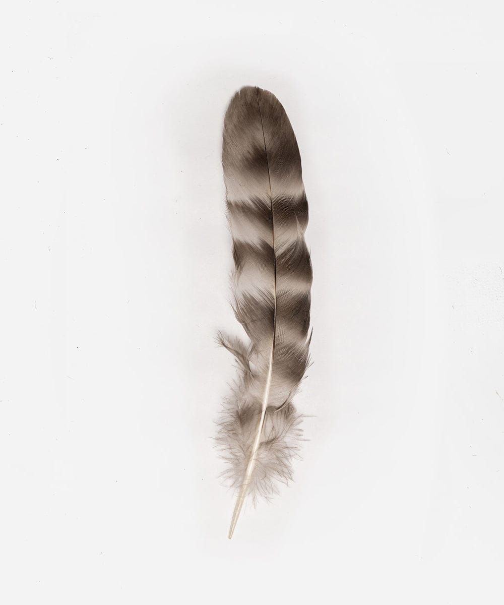 Natural Grey Chinchilla Fur Hat with Feather - Warm Winter Fashion Accessory for Women & Men - Perfect for Outdoor Activities, Parties, and Cold Weather