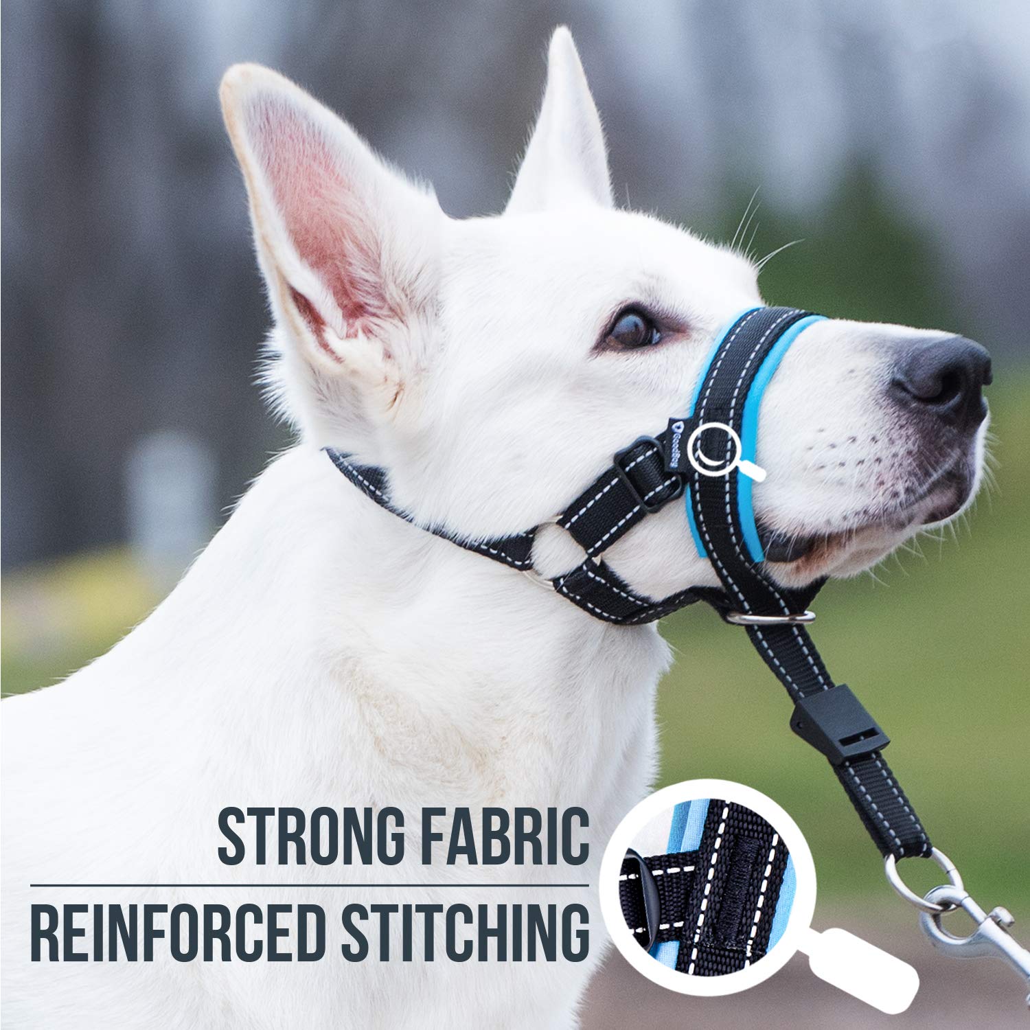 GoodBoy No-Pull Dog Head Halter with Safety Strap - Gentle Training Headcollar for Small, Medium & Large Dogs - Stops Leash Pulling - Includes Padded Design & Training Guide (Size 2, Blue) - Perfect for Walks, Training & Behavior Correction