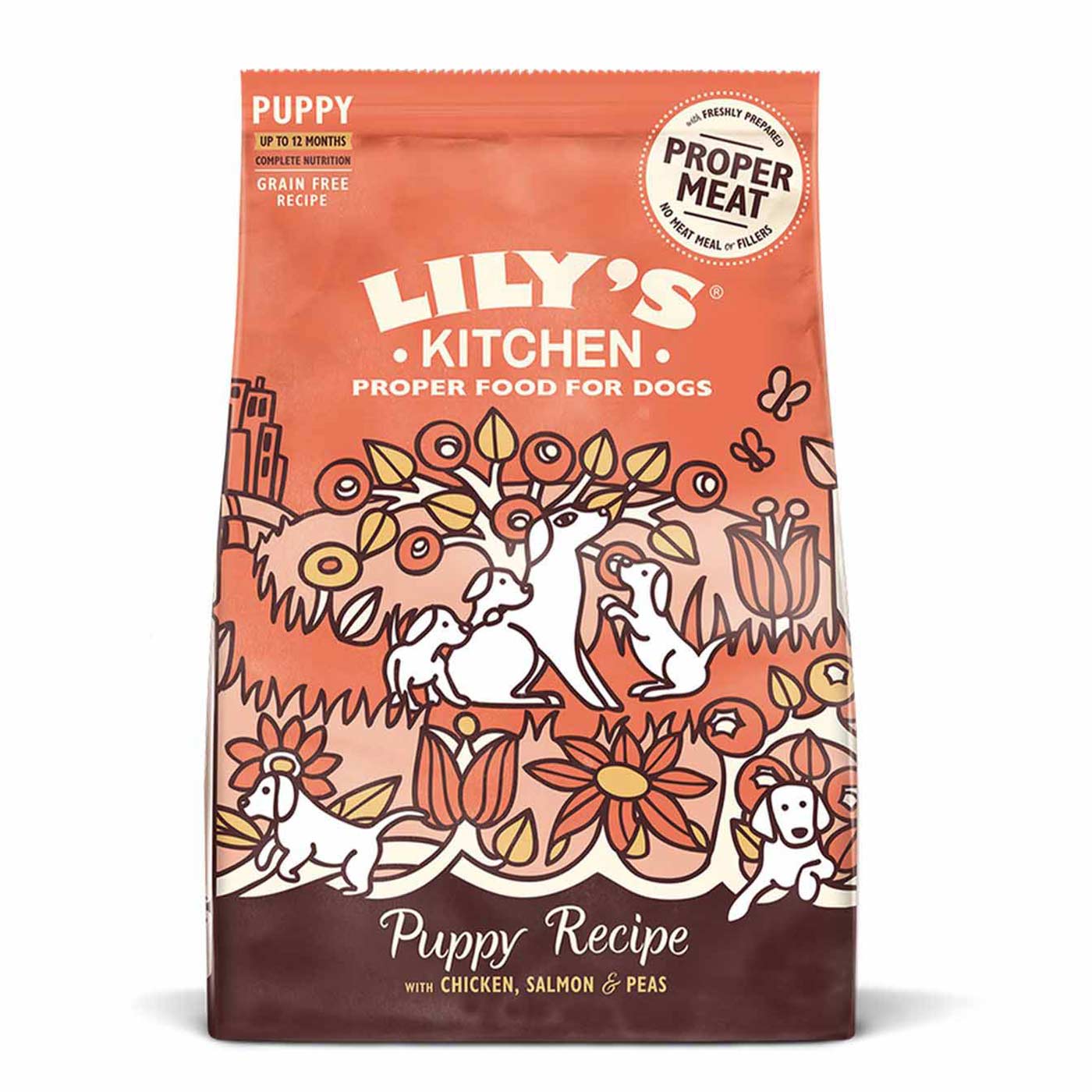 Organic Puppy Food with Chicken & Salmon - Grain-Free, High-Protein Dry Dog Food for Small & Large Breeds - Perfect for Puppy Growth & Healthy Digestion | Ideal for Training Treats & Daily Meals